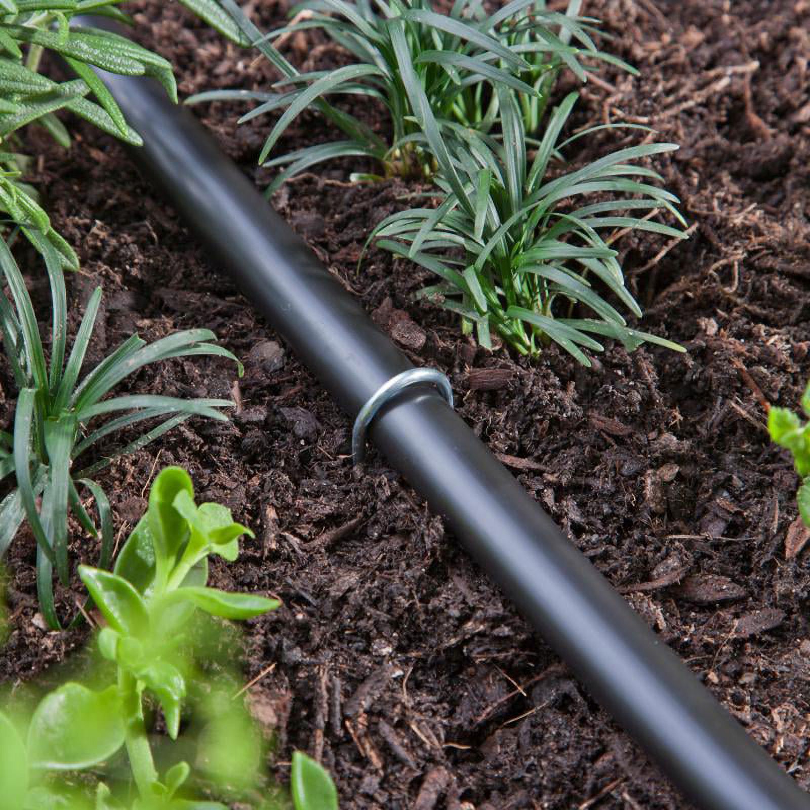 Raindrip  8 in. Wire Hook Stakes, Silver - Pack of 25