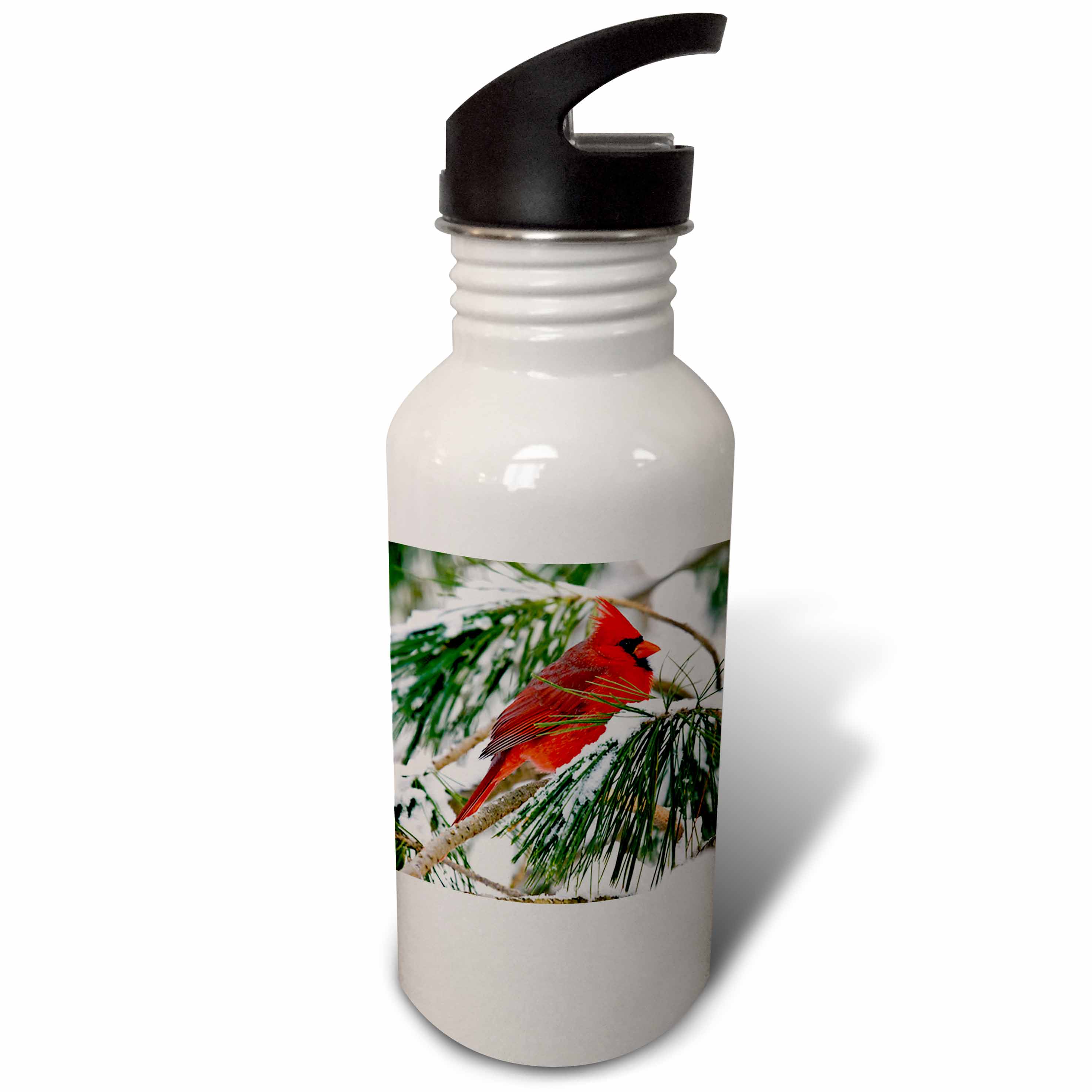 Red and black cardinal perched in snowy pine tree 21 oz Sports Water Bottle wb-112146-1