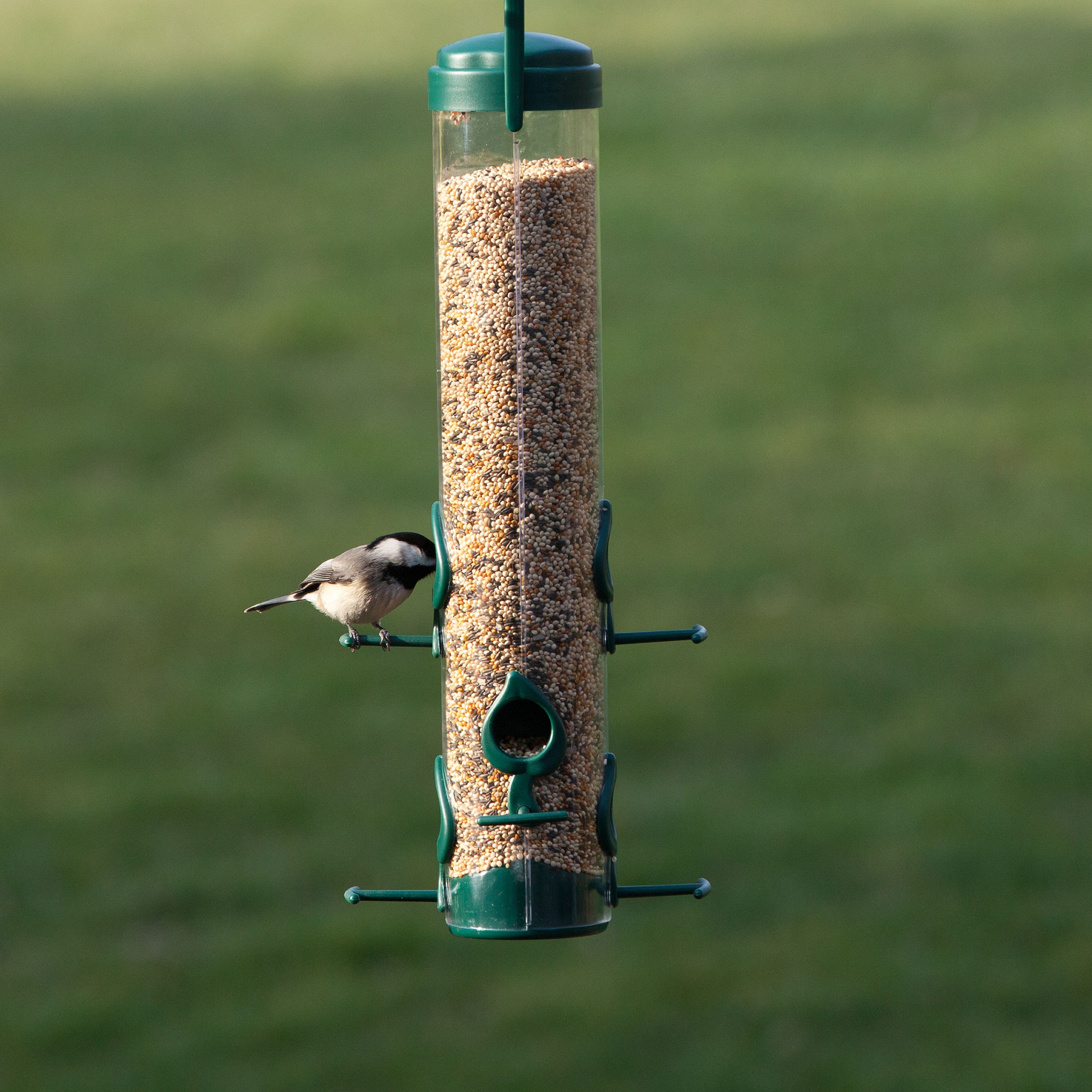 Perky-Pet Green Classic Wild Bird Tube Feeder - 1.75 lb Capacity