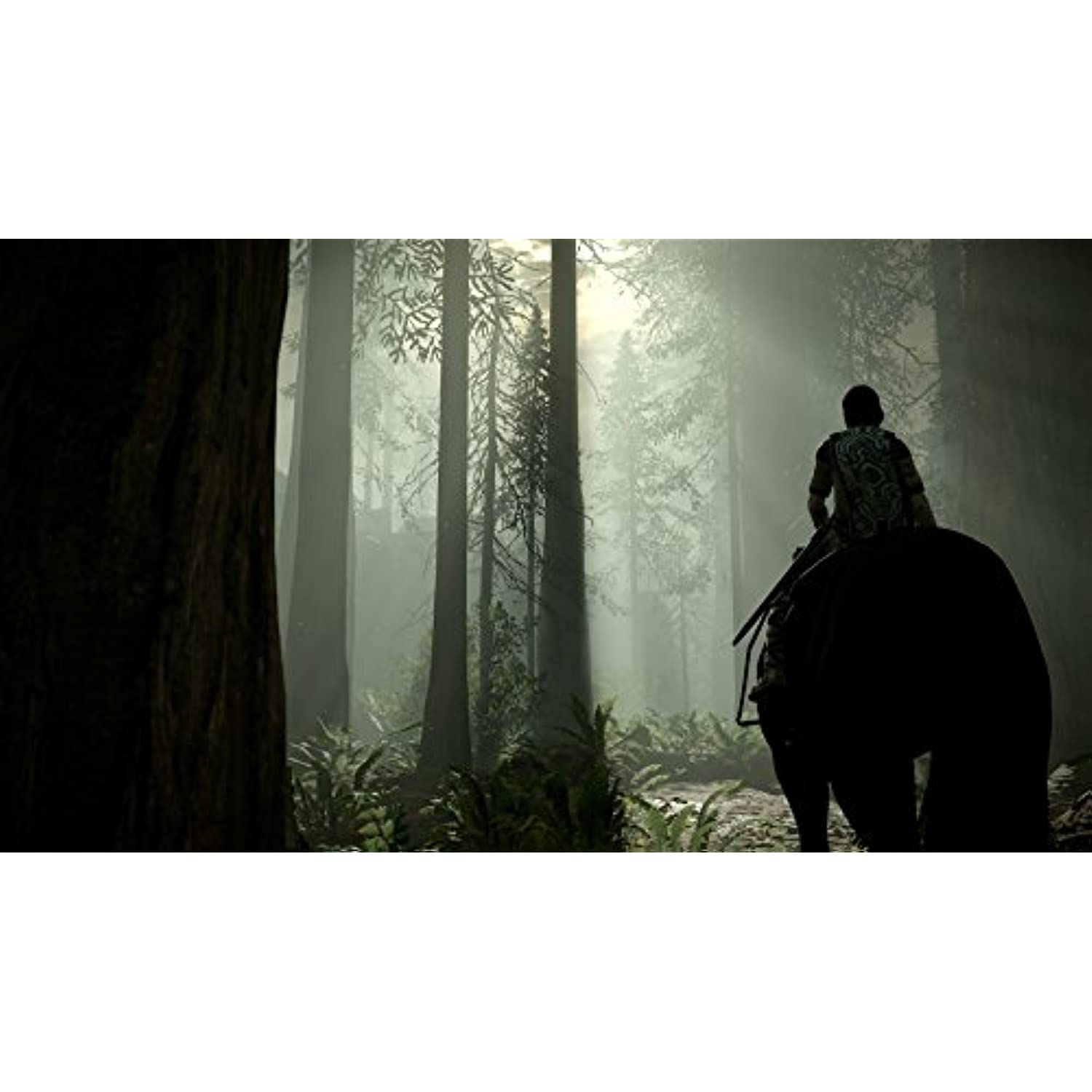 Shadow Of The Colossus - Playstation 4