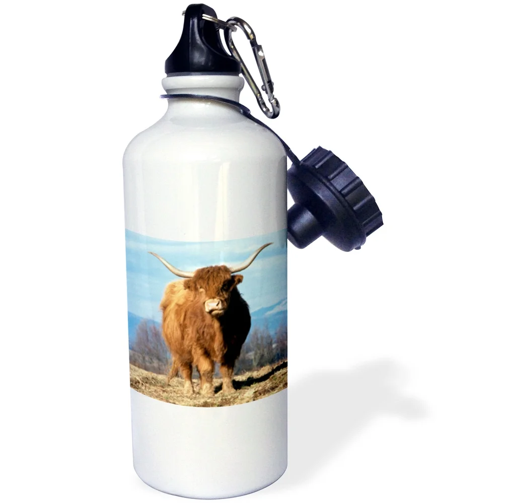 3dRose USA, Oregon, Multnomah County. Highland cow - US38 BJA0154 - Jaynes Gallery, Sports Water Bottle, 21oz