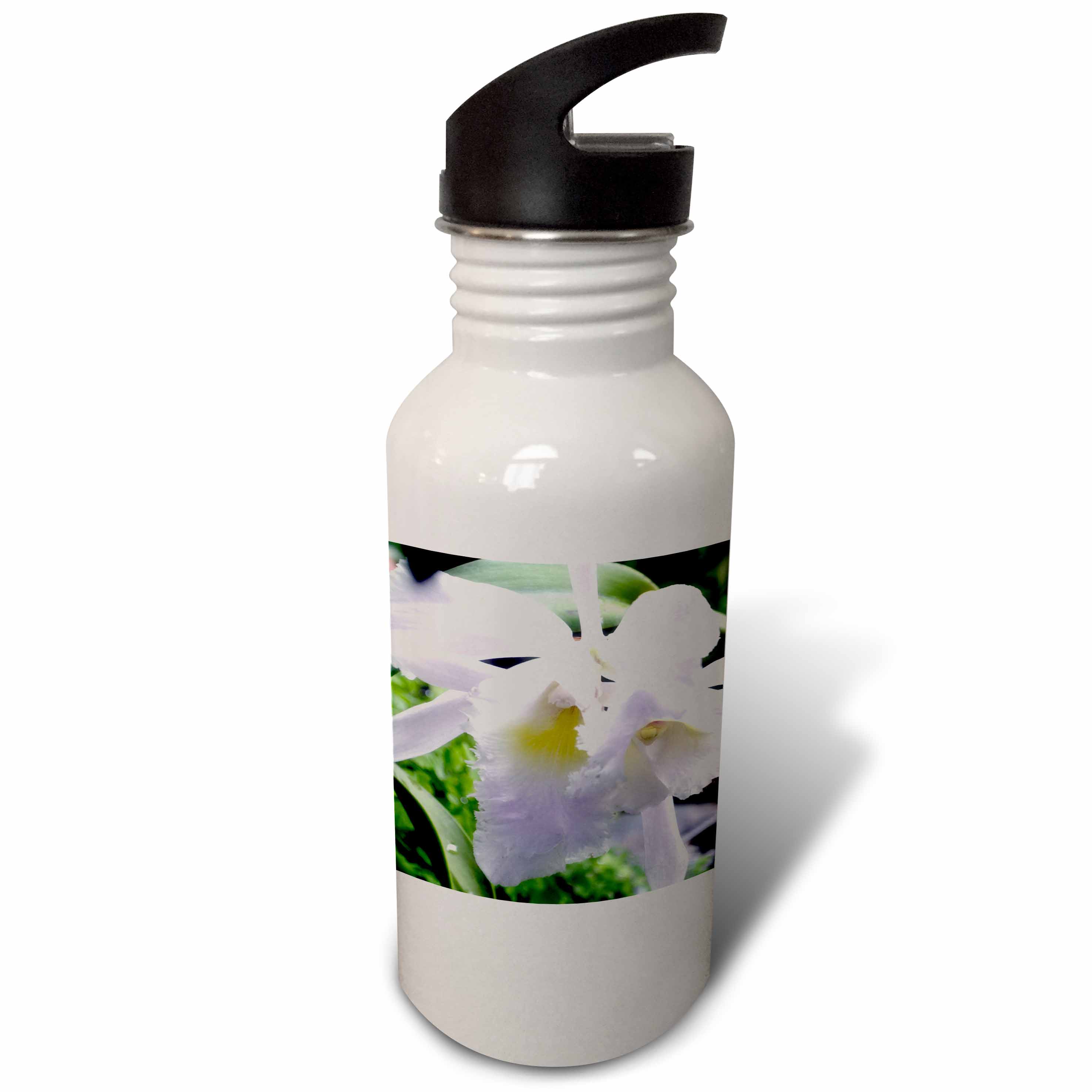 A soft beautiful lavender colored orchid flower 21 oz Sports Water Bottle wb-179647-1