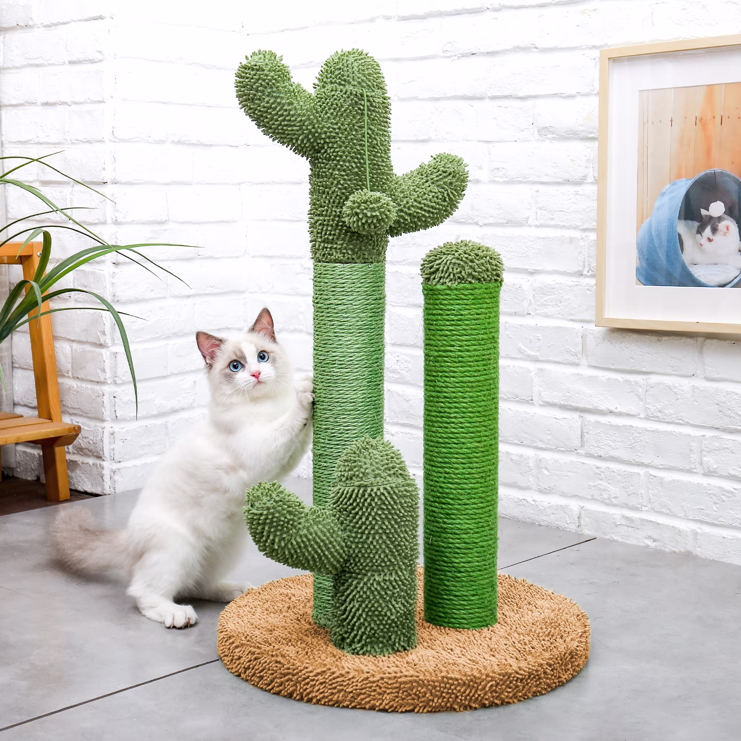 Cactus Cat Scratching Posts Sisal Claw Scratcher Cat Interactive Toy Gift, Green