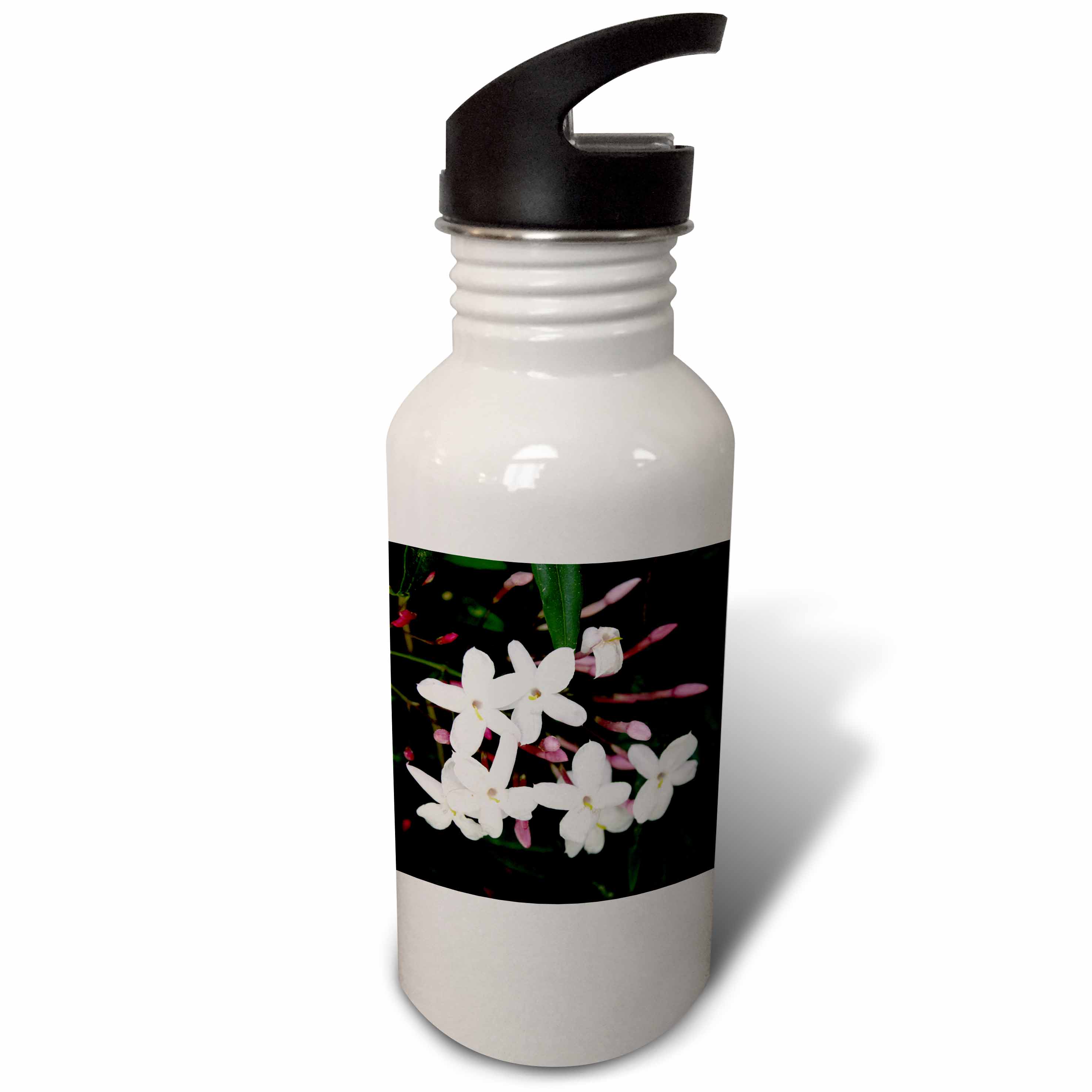3dRose Blossom White Jasmine, Sports Water Bottle, 21oz