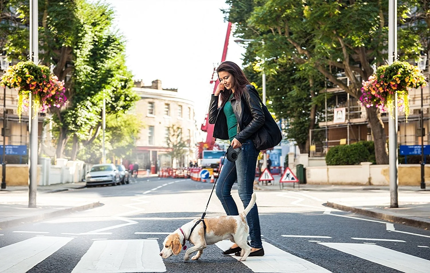 Dial-A-Distance Adjustable Retractable Dog Leash, Medium