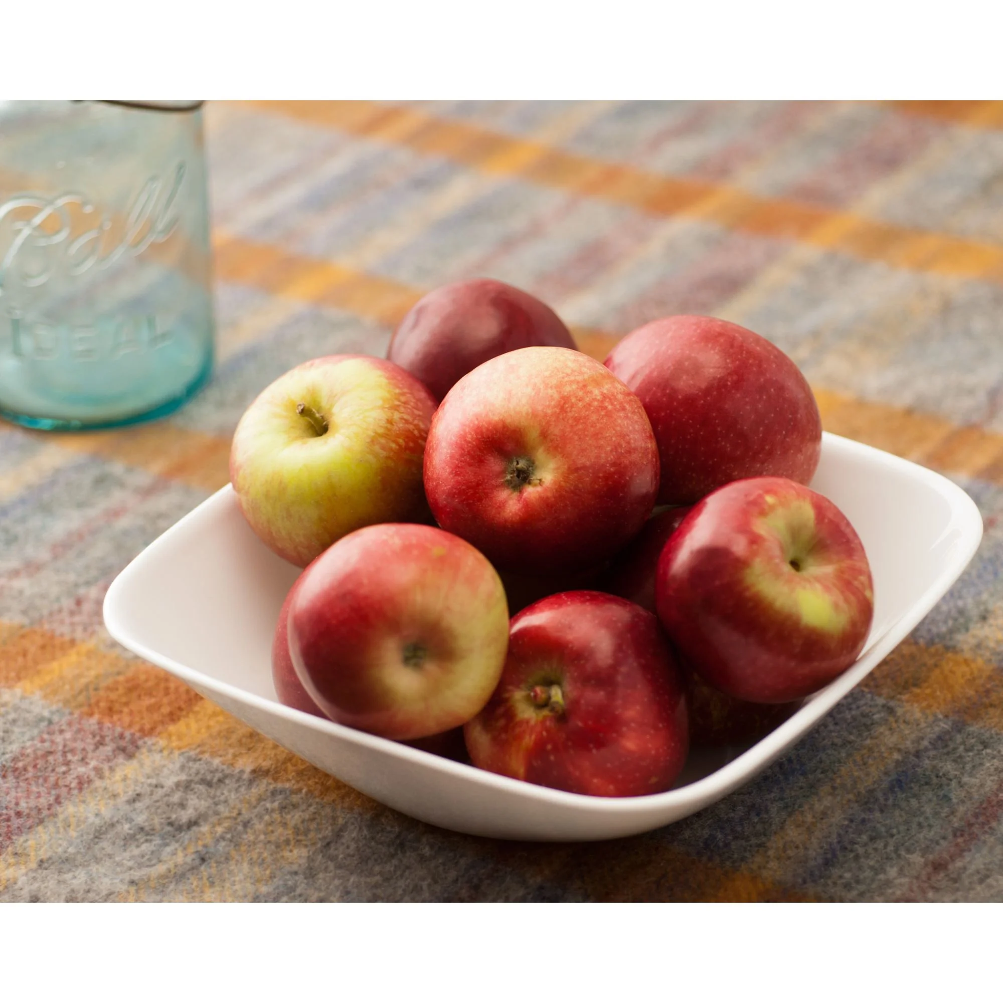 Corelle Square Serving Bowl