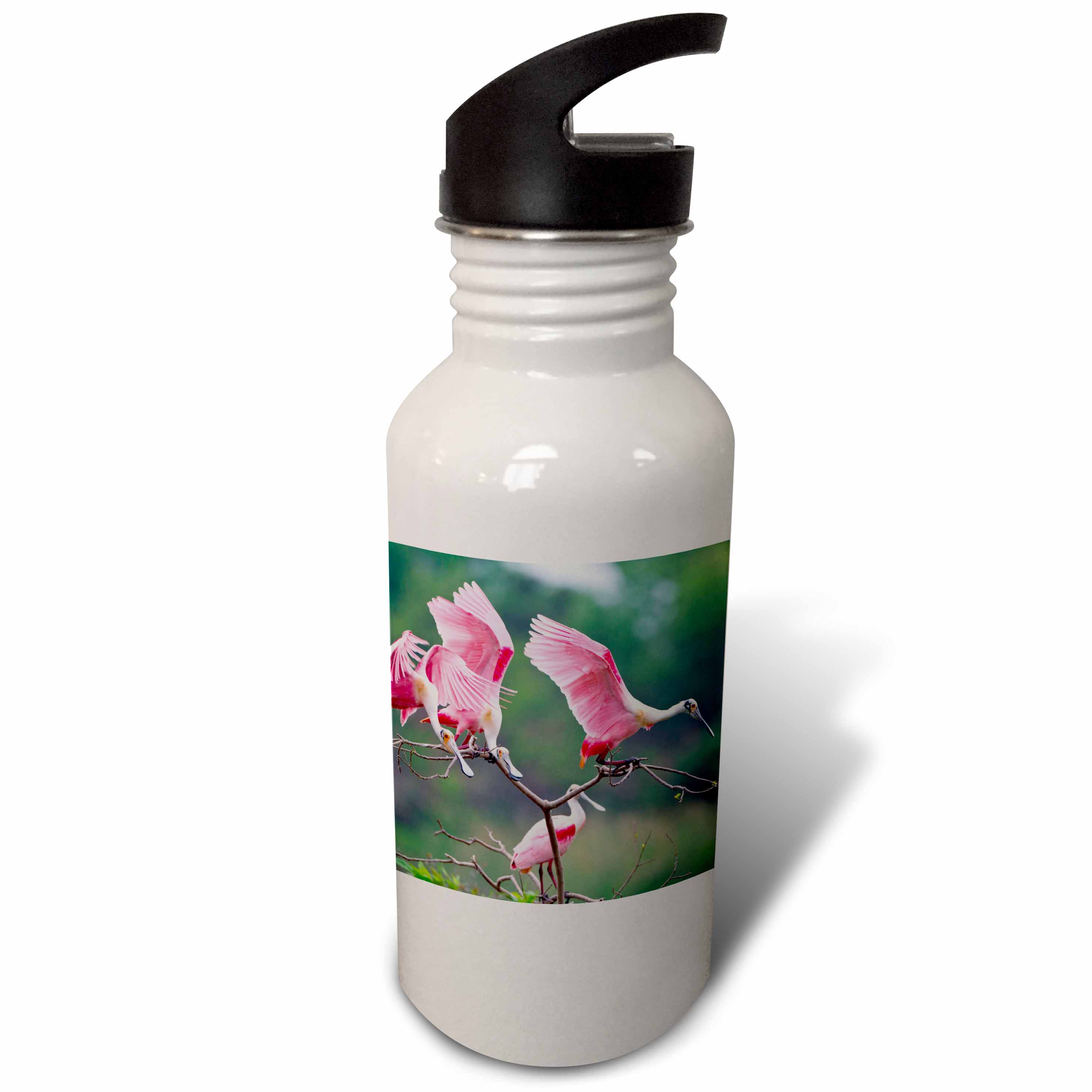 Roseate Spoonbills, Ajaia ajaja, landing in near nests. 21 oz Sports Water Bottle wb-191316-1
