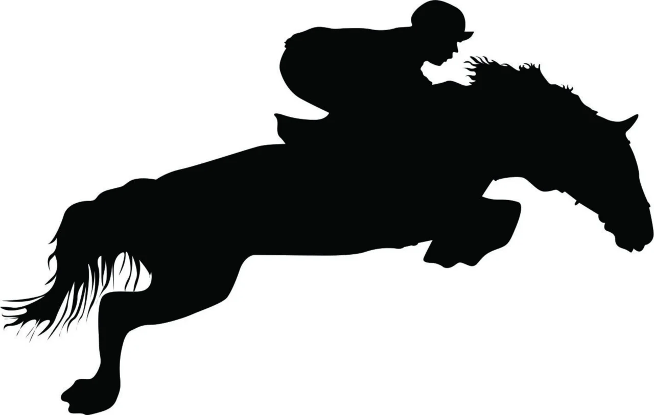 Design With Vinyl Jumping Horse Competitive Equestrian Event Artwork sport SlowJumping Obstacles Wall Decal for Family - Sporting Contest Fences Walls Themed Décor - Size: 11 In x 25 In