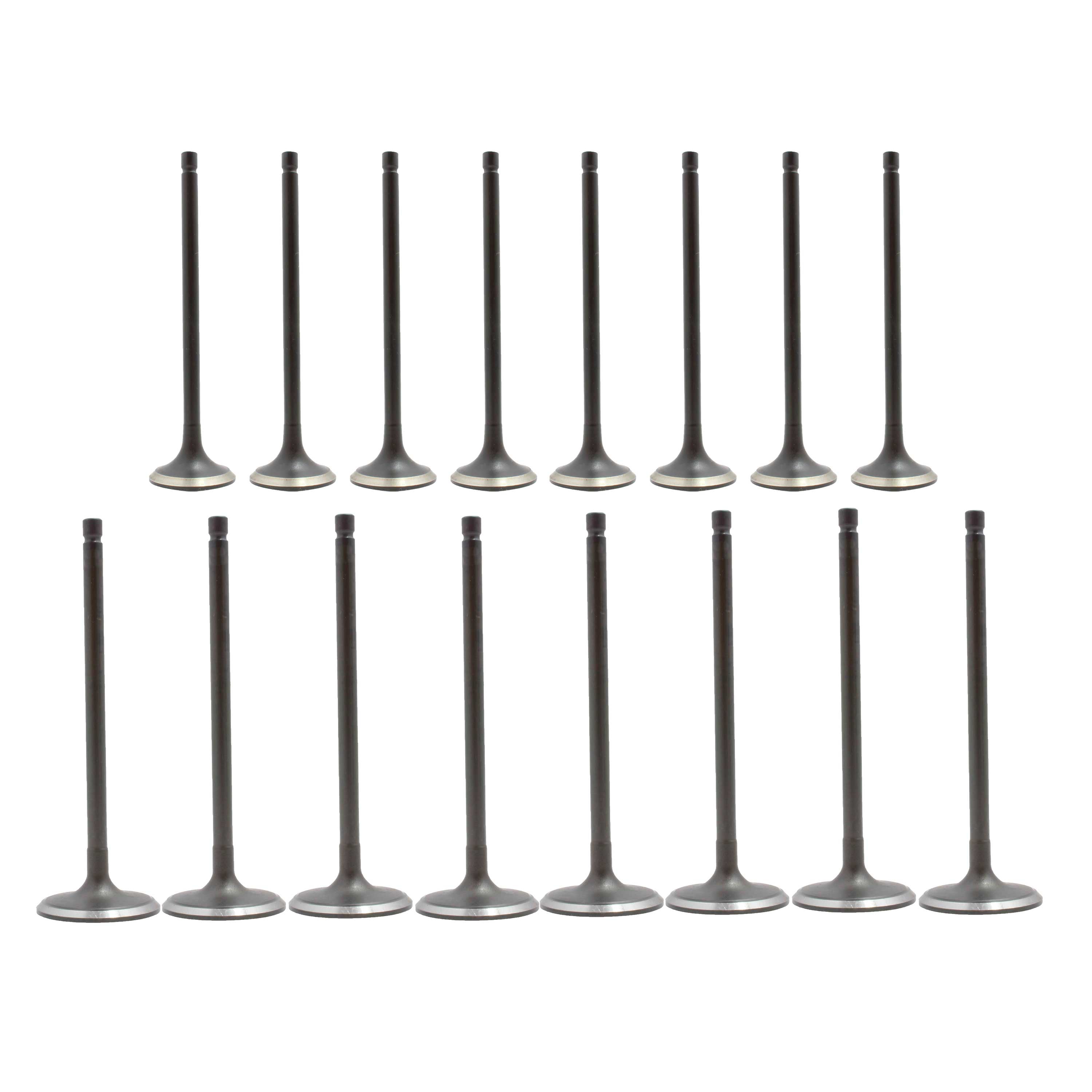 DNJ VK16674 Exhaust Intake Valve Kit Fits Cars & Trucks 13-19 Nissan Sentra L4 1.8L DOHC 16V EV674 X8 IV674 X8