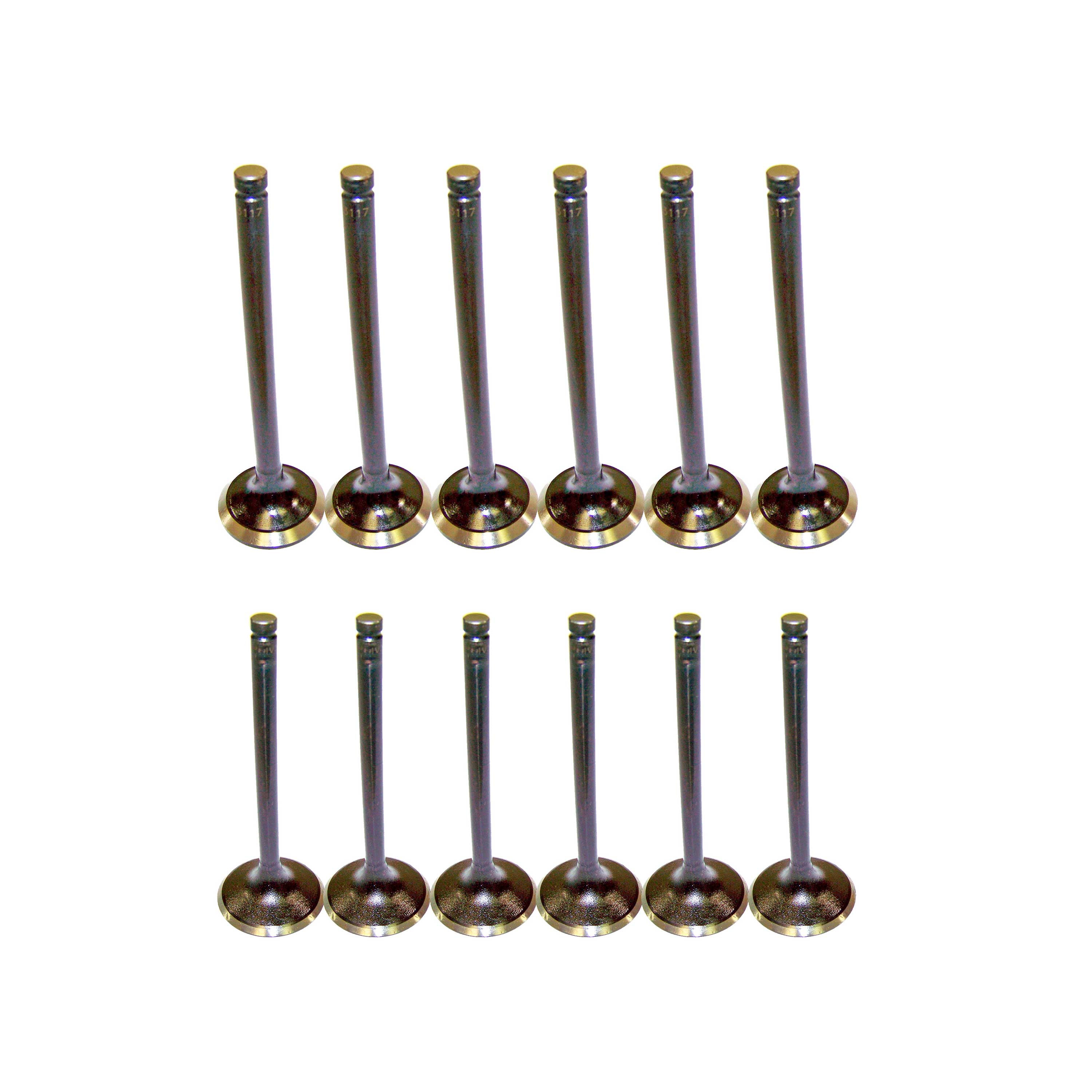 DNJ VK123117 Exhaust Intake Valve Kit Fits Cars & Trucks 98-09 Buick, Chevrolet V6 3.1L, 3.4L OHV 12V EV3117 X6 IV3117 X6 Fits select: 2005-2009 CHEVROLET EQUINOX, 2000-2005 CHEVROLET IMPALA