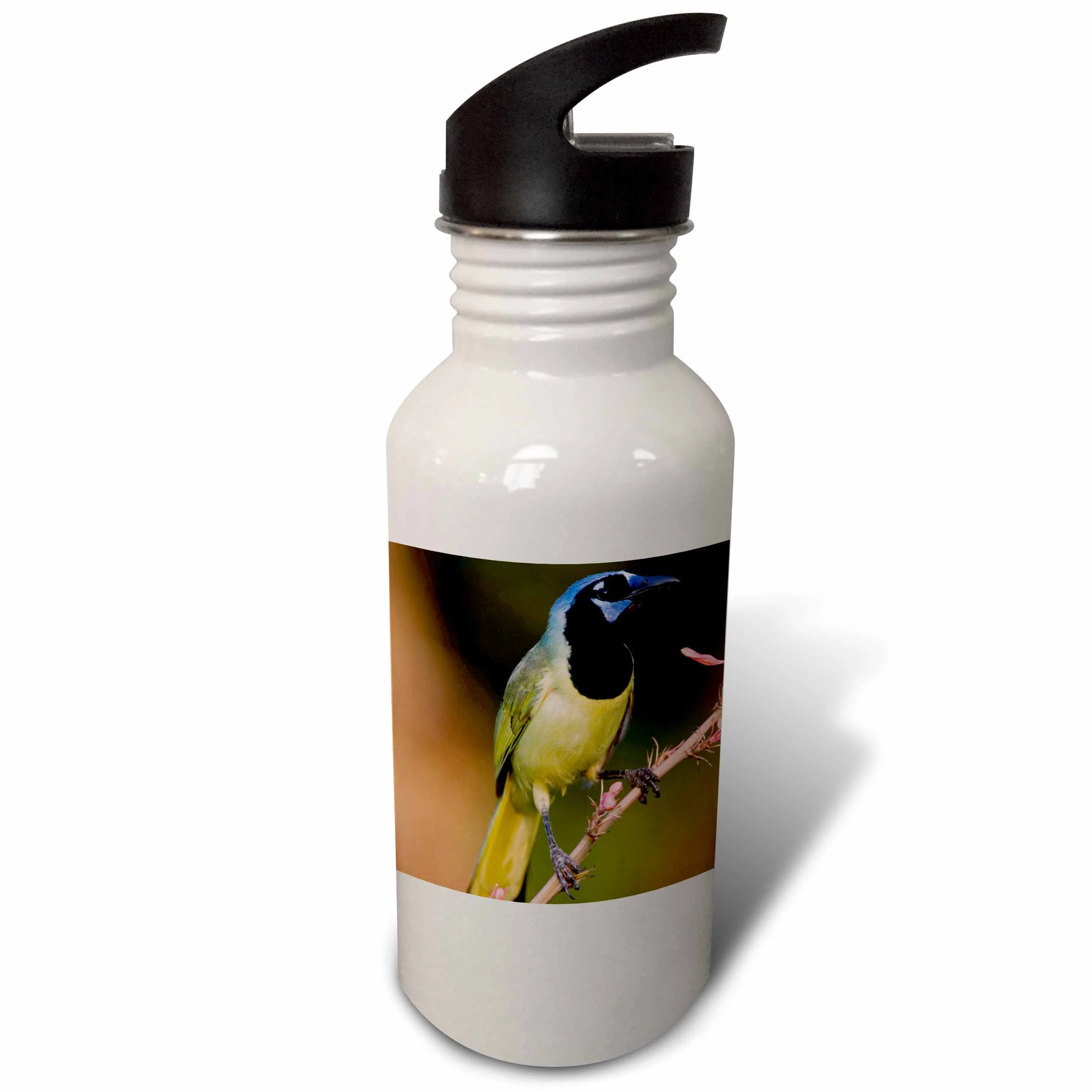 Green Jay bird on Red Yucca, Texas - NA02 RNU0155 - Rolf Nussbaumer 21 oz Sports Water Bottle wb-84277-1