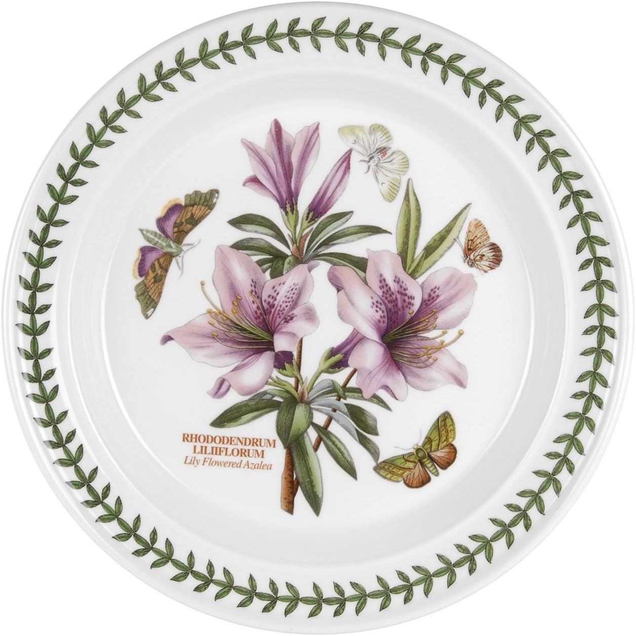 Portmeirion Botanic Garden Rhododendrum Liliiflorum Lily Flowered Azalea 10-in Dinner Plate, Pink