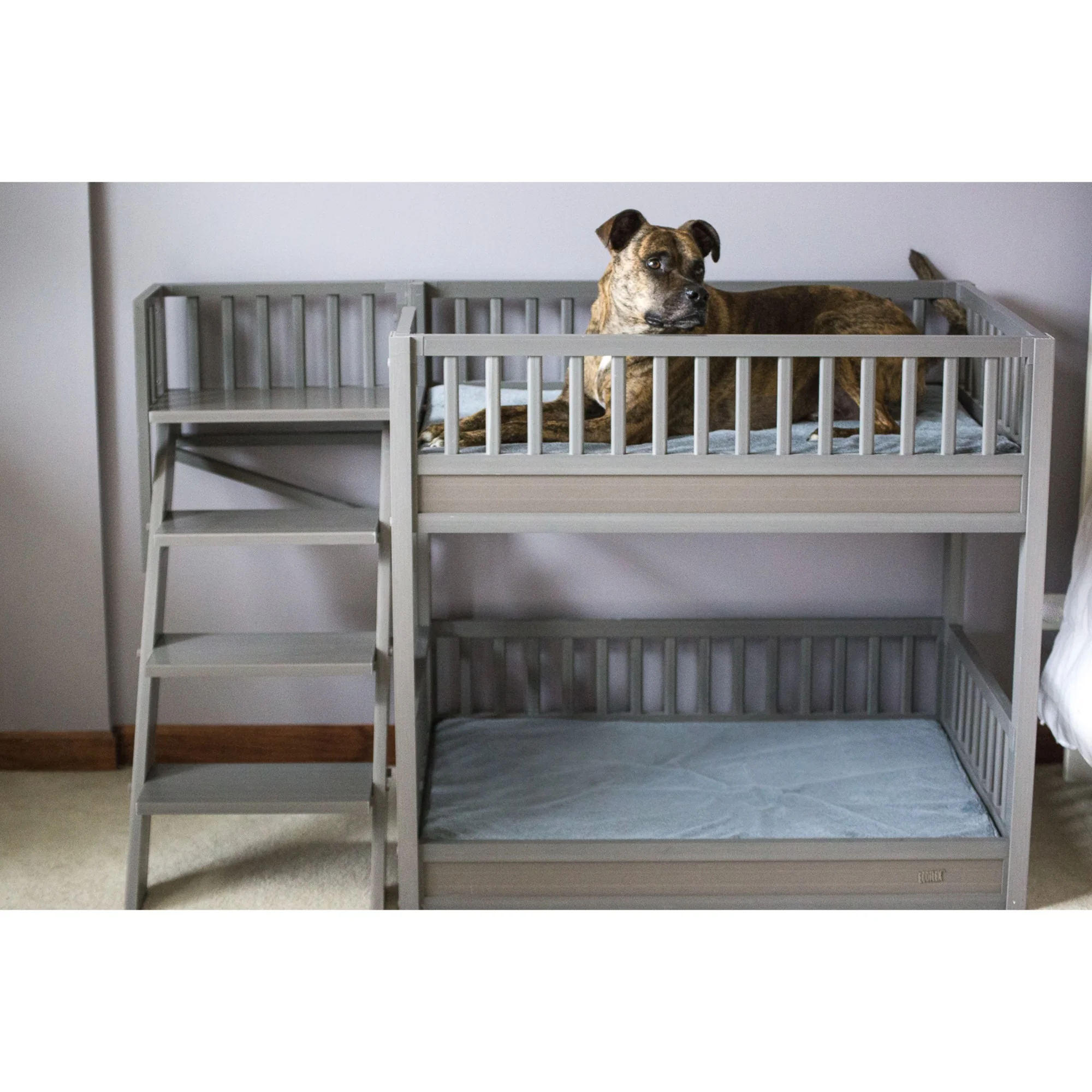 Ecoflex Dog Bunk Bed with Removable Cushions, Gray