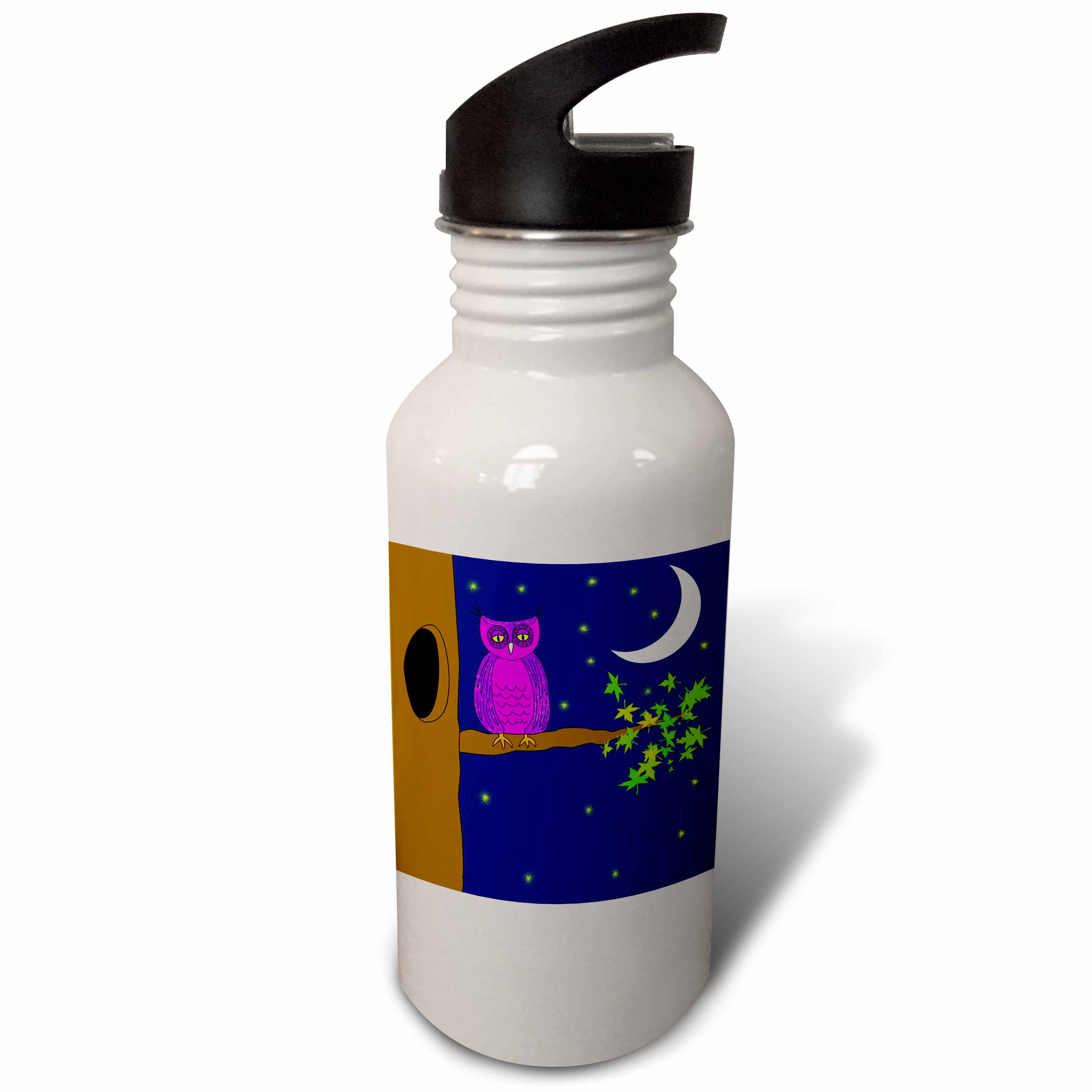 Print of Cartoon Owl At Night With Moon 21 oz Sports Water Bottle wb-193152-1