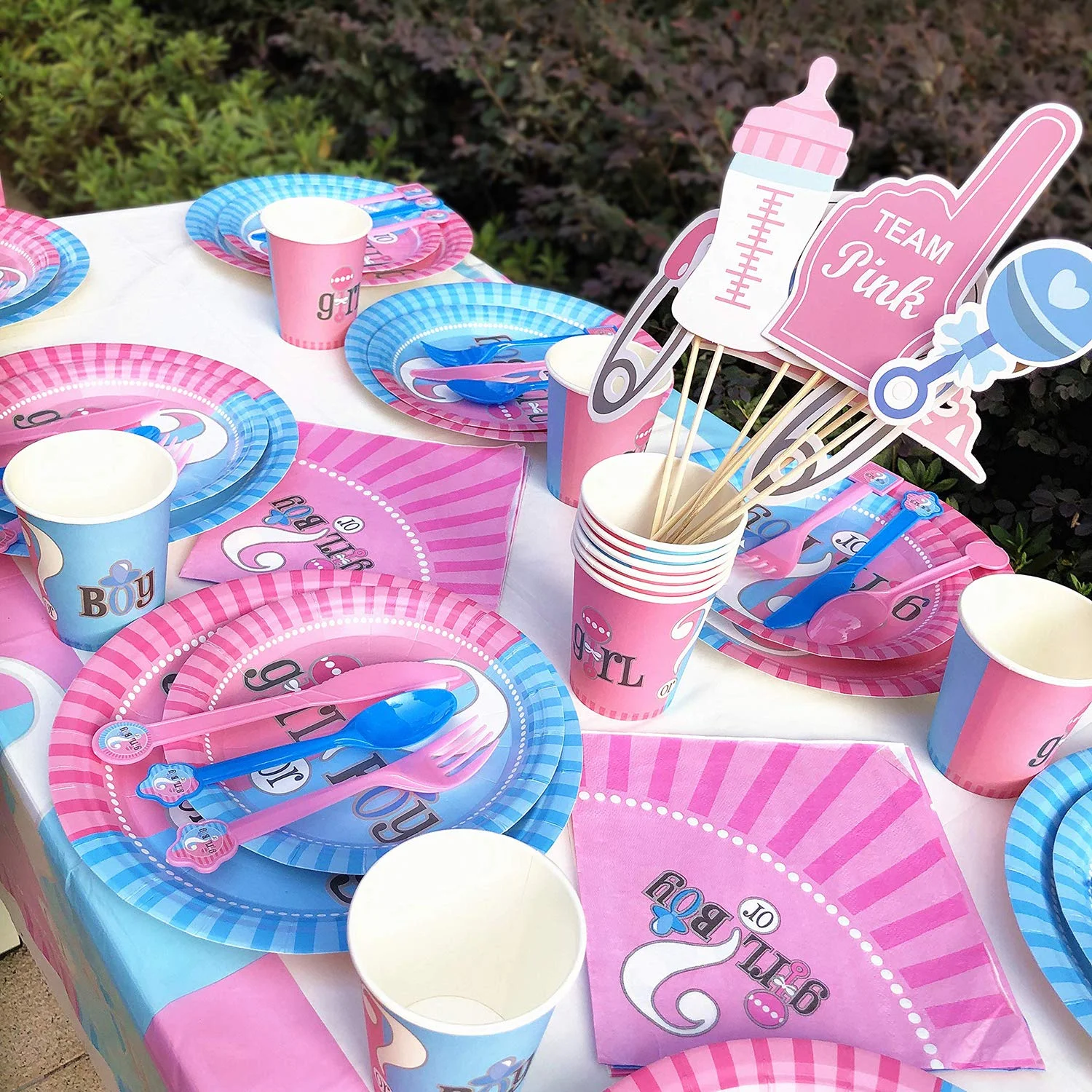 Gender Reveal Party Supplies Tableware 371 Pcs