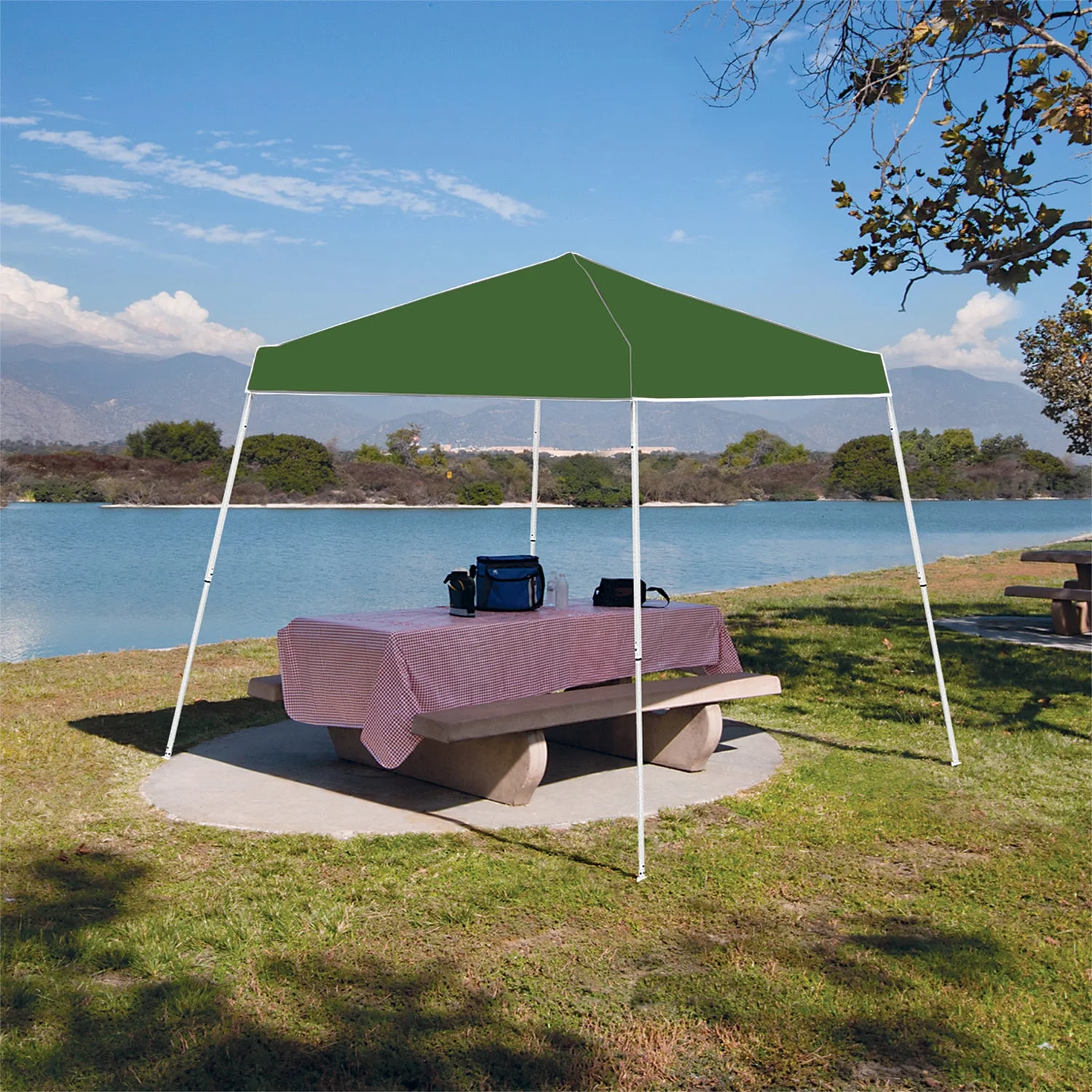 Z-Shade 10 x 10 Foot Angled Leg Instant Shade Canopy Tent Shelter Green