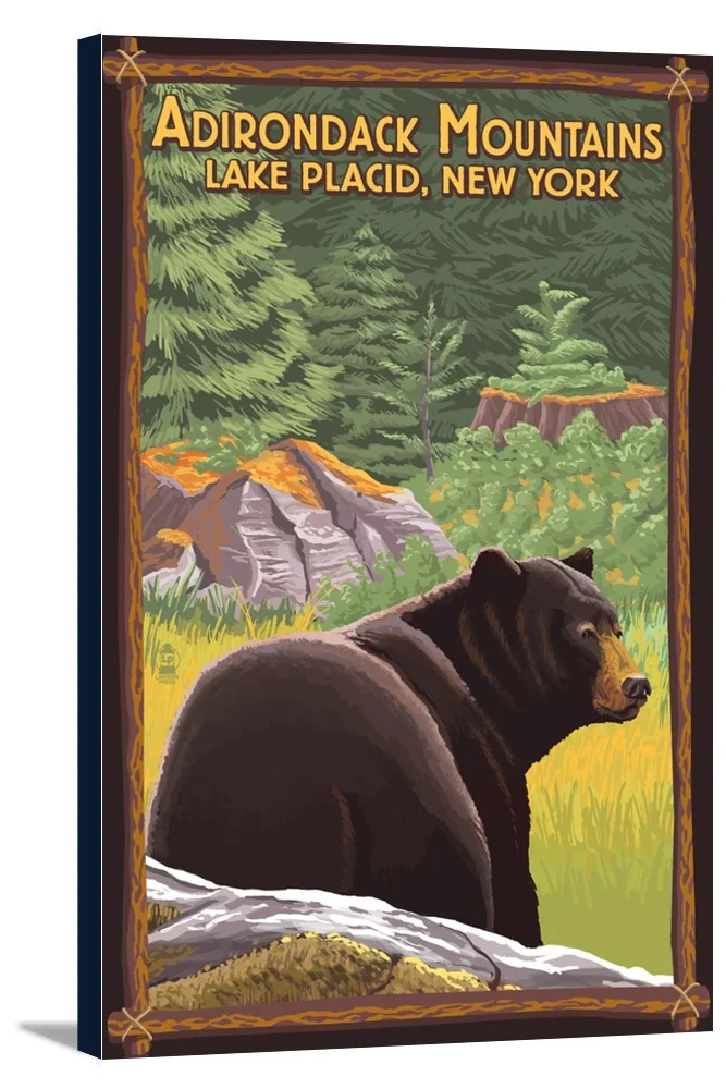 The Adirondacks - Lake Placid, New York - Black Bear in Forest - Lantern Press Poster (12x18 Gallery Wrapped Stretched Canvas)
