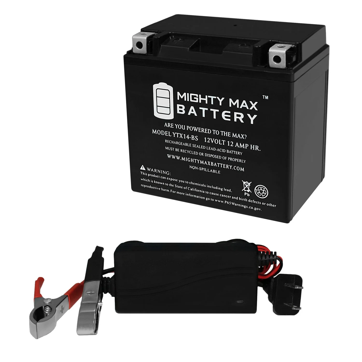 YTX14-BS Battery Replaces Buell Blast Honda Shadow + 12V 1Amp Charger