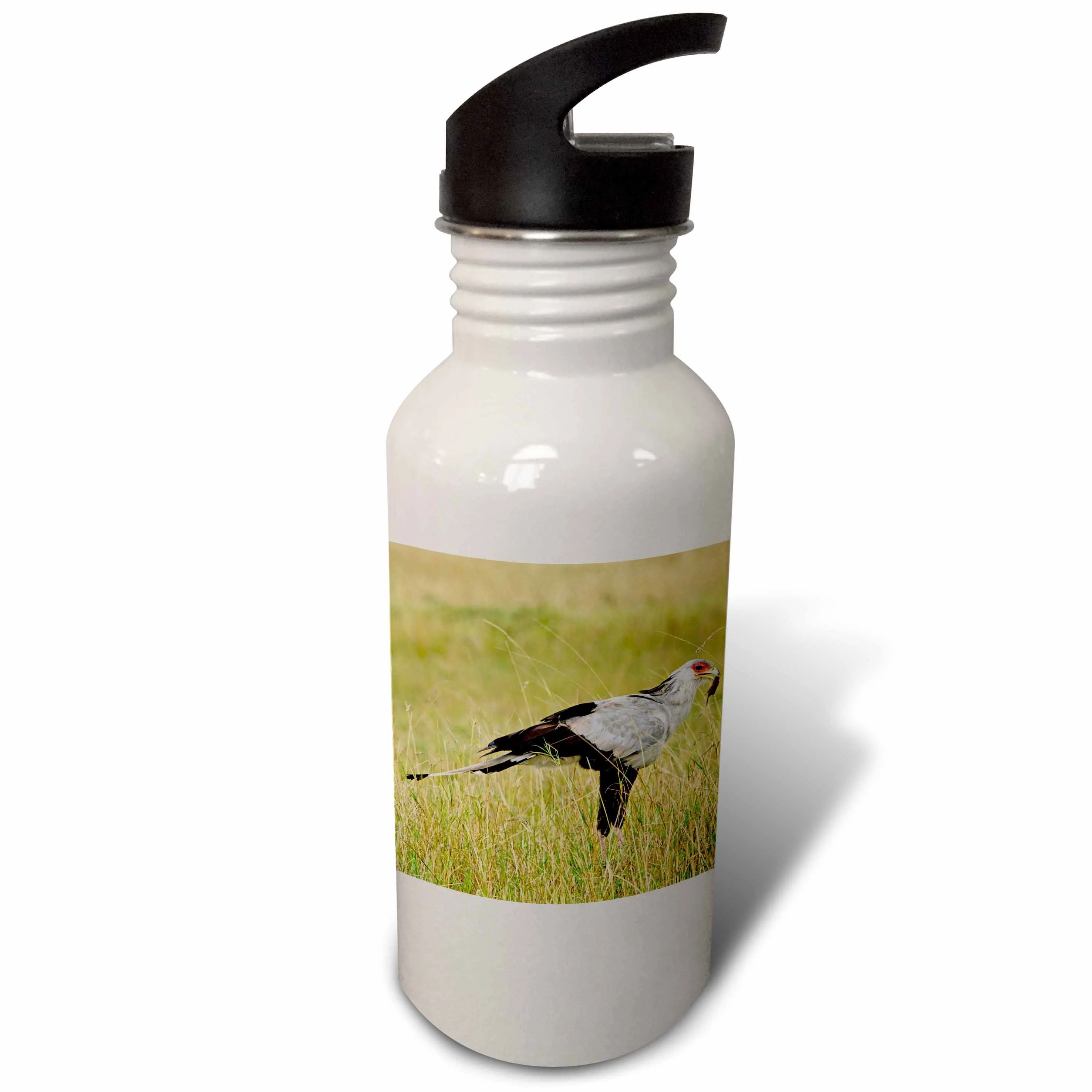 Secretary Bird, Masai Mara Game Reserve, Kenya - NA02 AJE0324 - Adam Jones 21 oz Sports Water Bottle wb-83621-1