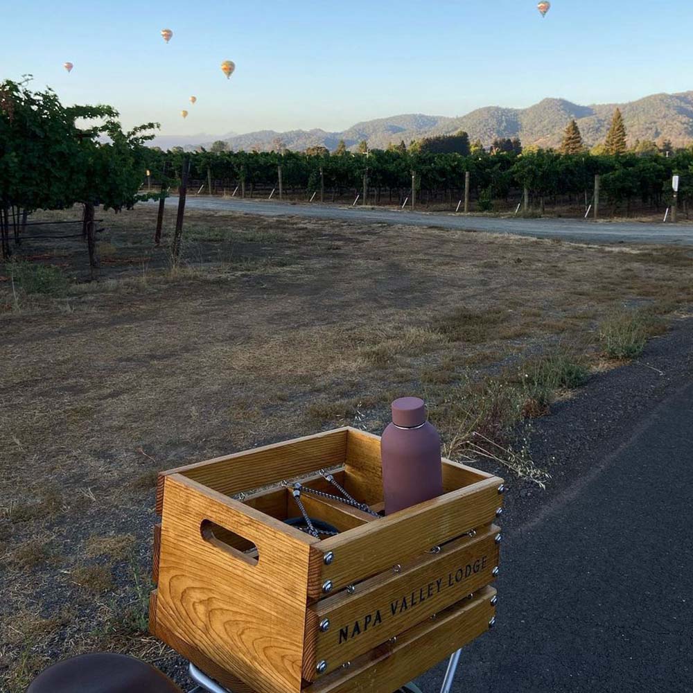 The Kai Water Bottle - Mauve | 750 ml