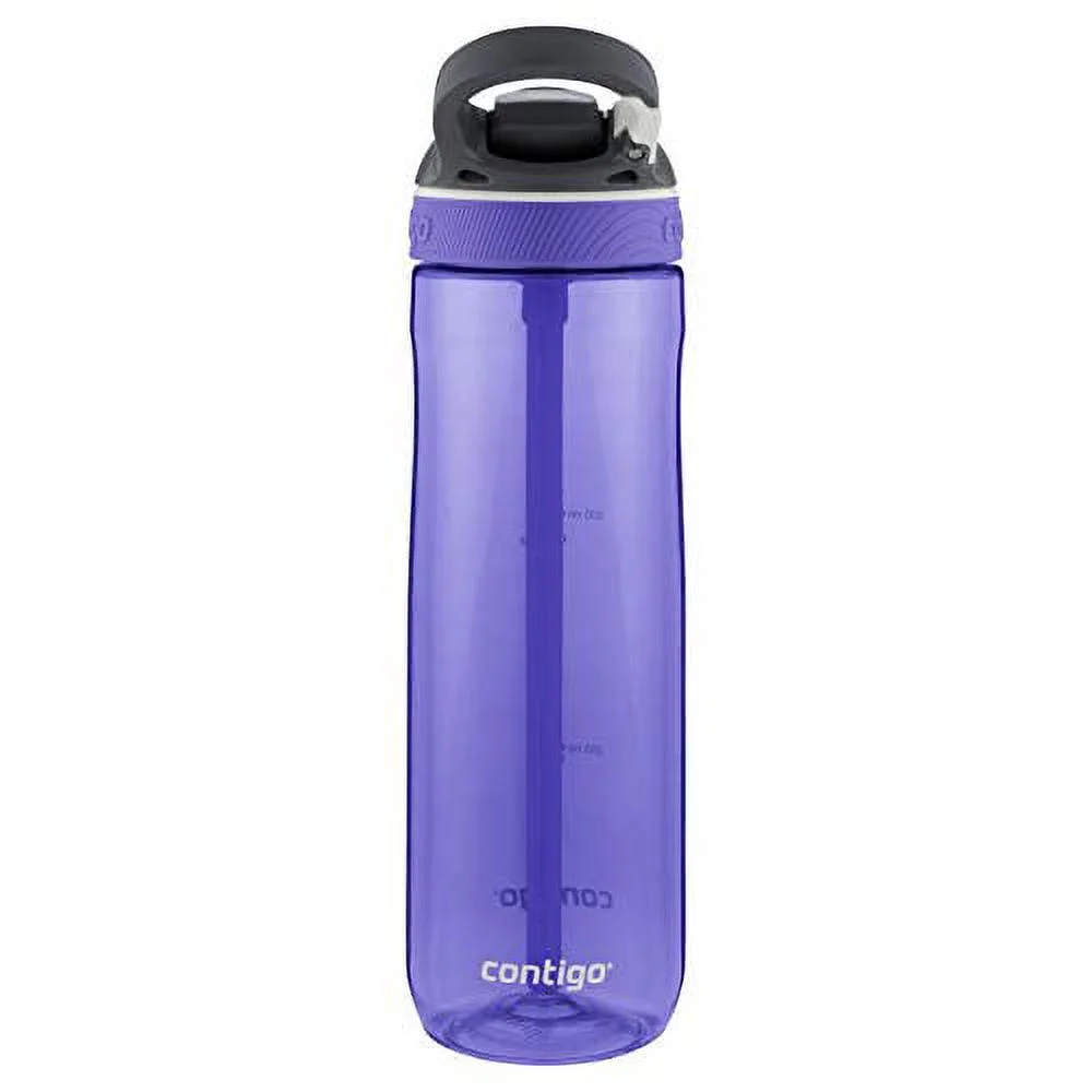 Contigo Autospout Ashland Straw Water Bottle 24oz in Grapevine, BPA Free