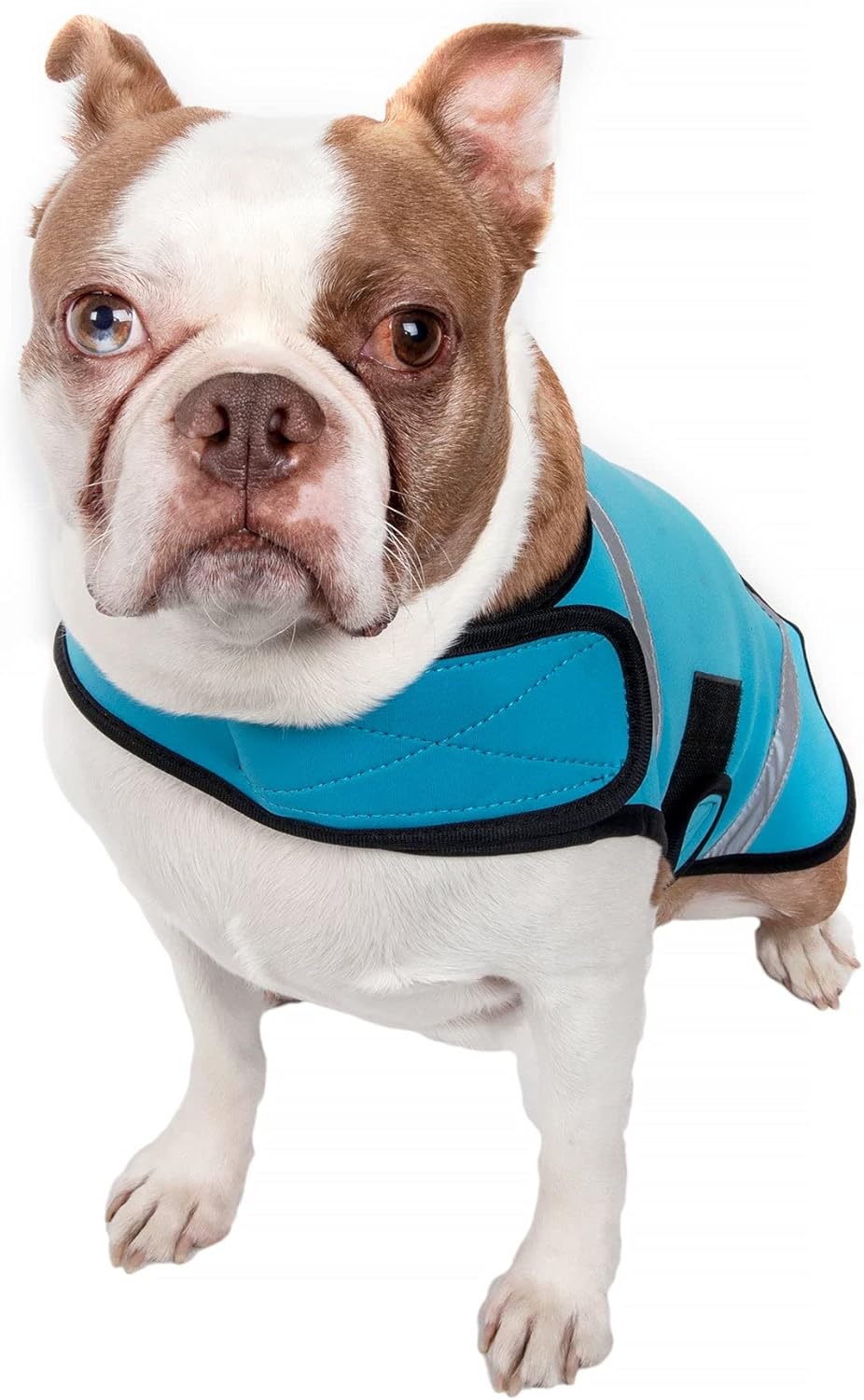 Pet Life Extreme Softshell Neoprene Dog Coat - Dog Jacket with Reflective Taping and Dog Rash Guard Protection for Small Medium Large Dogs