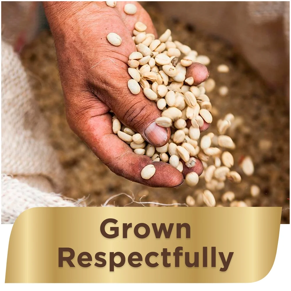 NESCAFE TASTER'S CHOICE 100% Colombian Medium Roast Instant Coffee 4-7 Oz. Jars