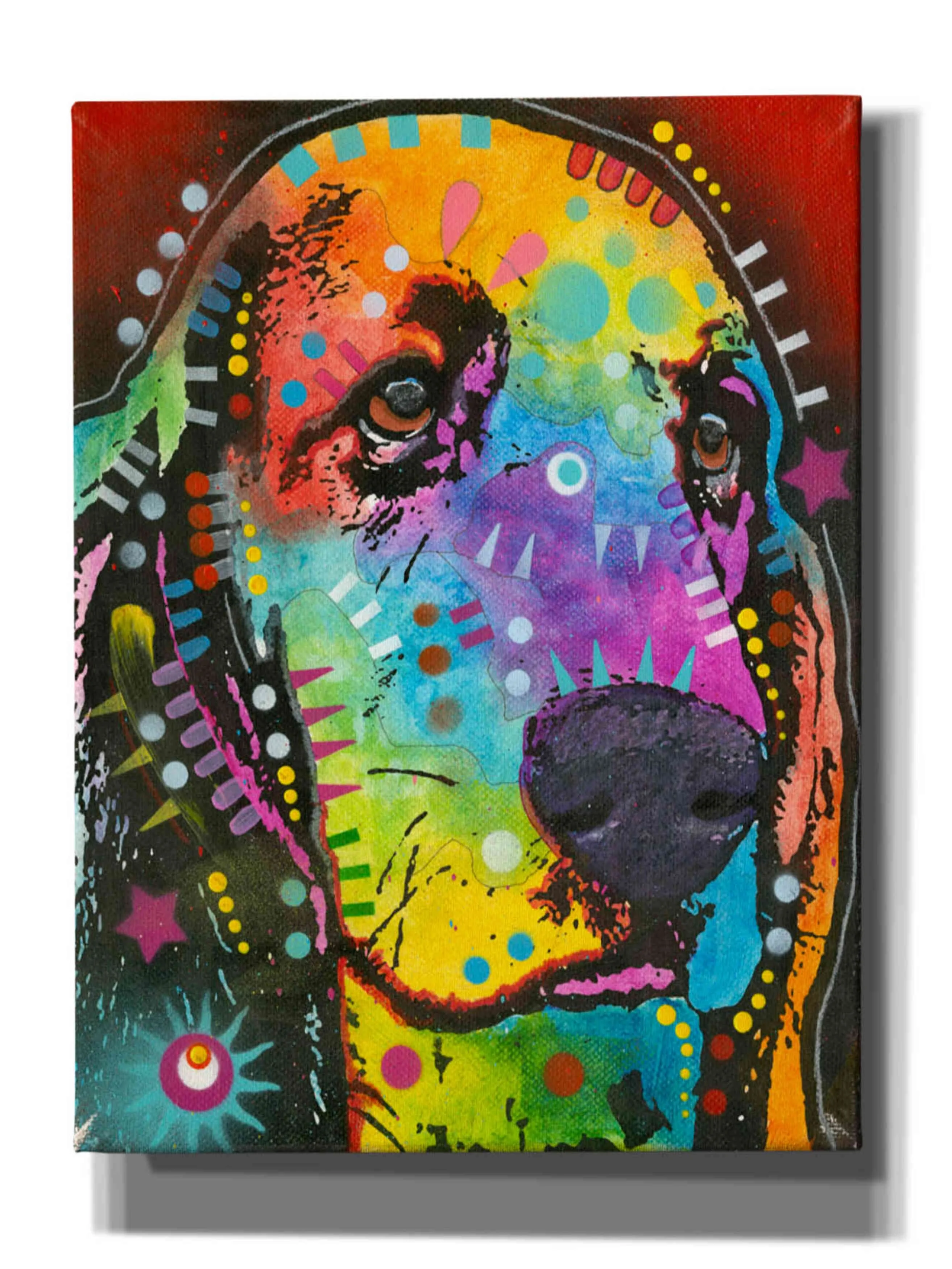 Epic Graffiti 'Waffles' by Dean Russo, Canvas Wall Art, 12