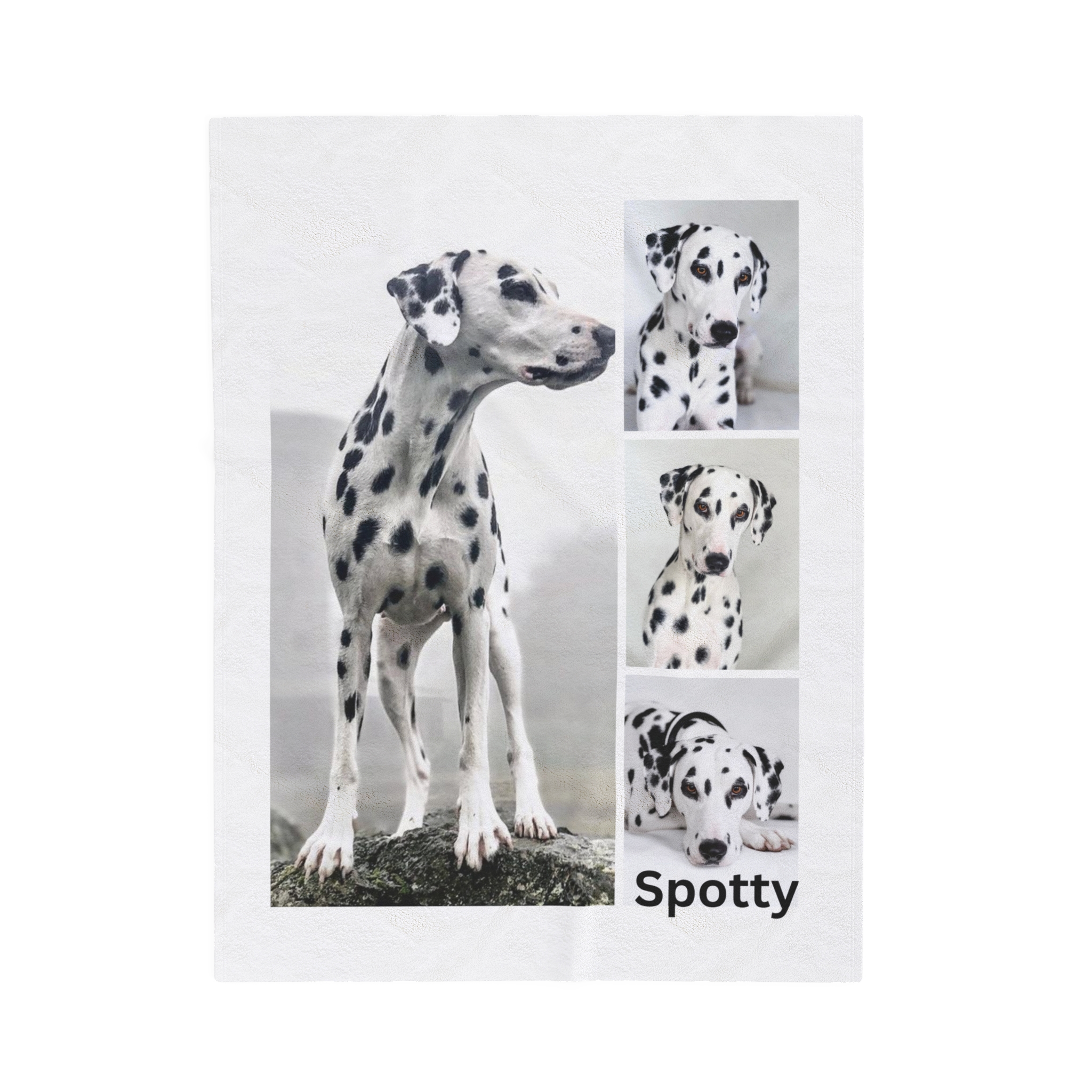 Dalmatian Custom Photo Blanket Personalized Dog Gift 30x40 50x60 60x80