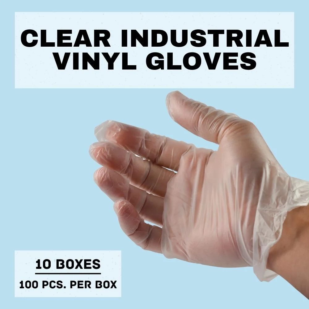 Powder-Free Vinyl Disposable General Purpose Gloves, Clear, X-Large, 5 Mil, Pack of 1000