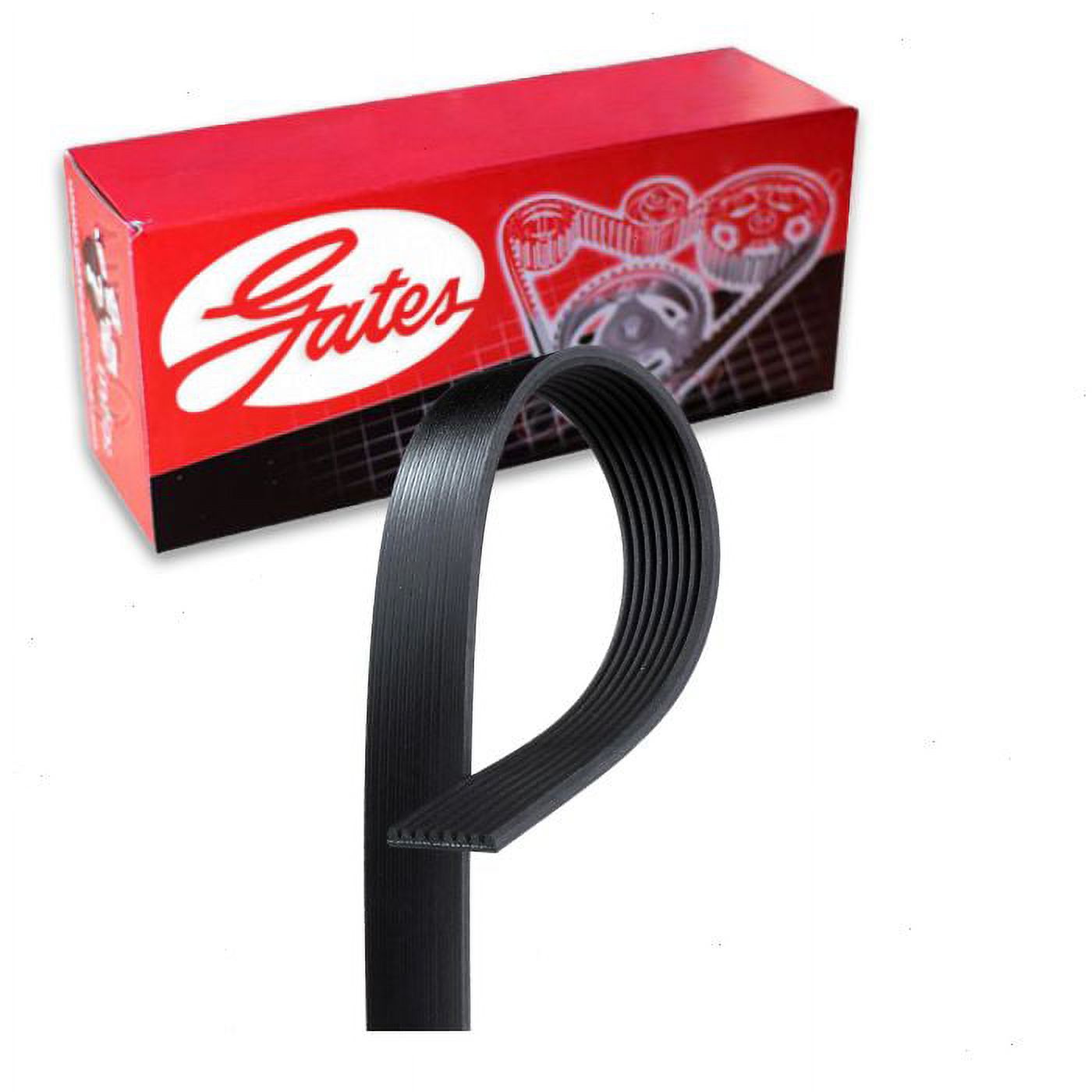 Gates Micro-V Serpentine Belt compatible with Dodge Ram 2500 5.9L 6.7L L6 2003-2010