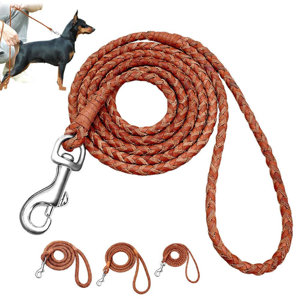 4ft Strong Dog Leash Braided Leather Rolled Rope Lead for Small Medium Large Dog