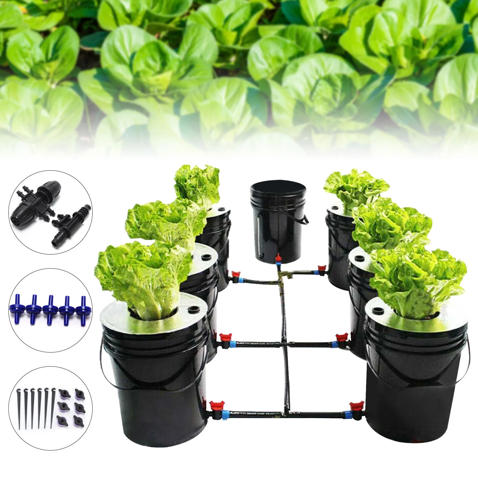 Aiqidi DWC Hydroponics Growing System, 5 Gallon 6 Buckets Recirculating Growing Kit Deep Water Culture with Water Exchange Bucket
