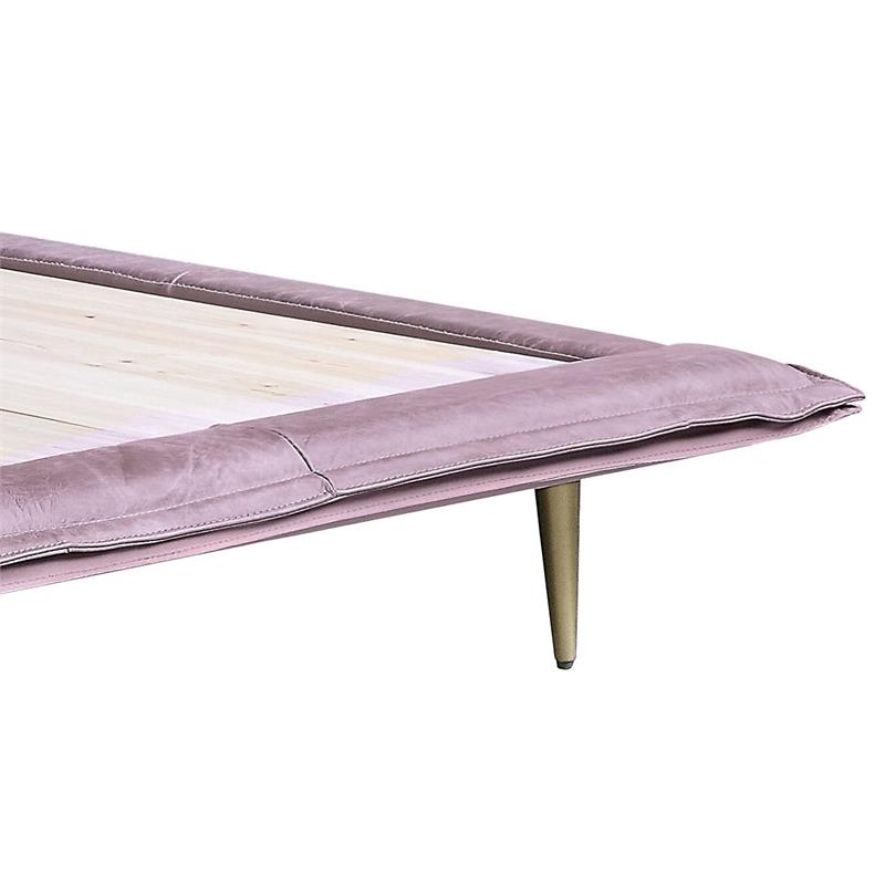 ACME Metis Queen Bed in Pink