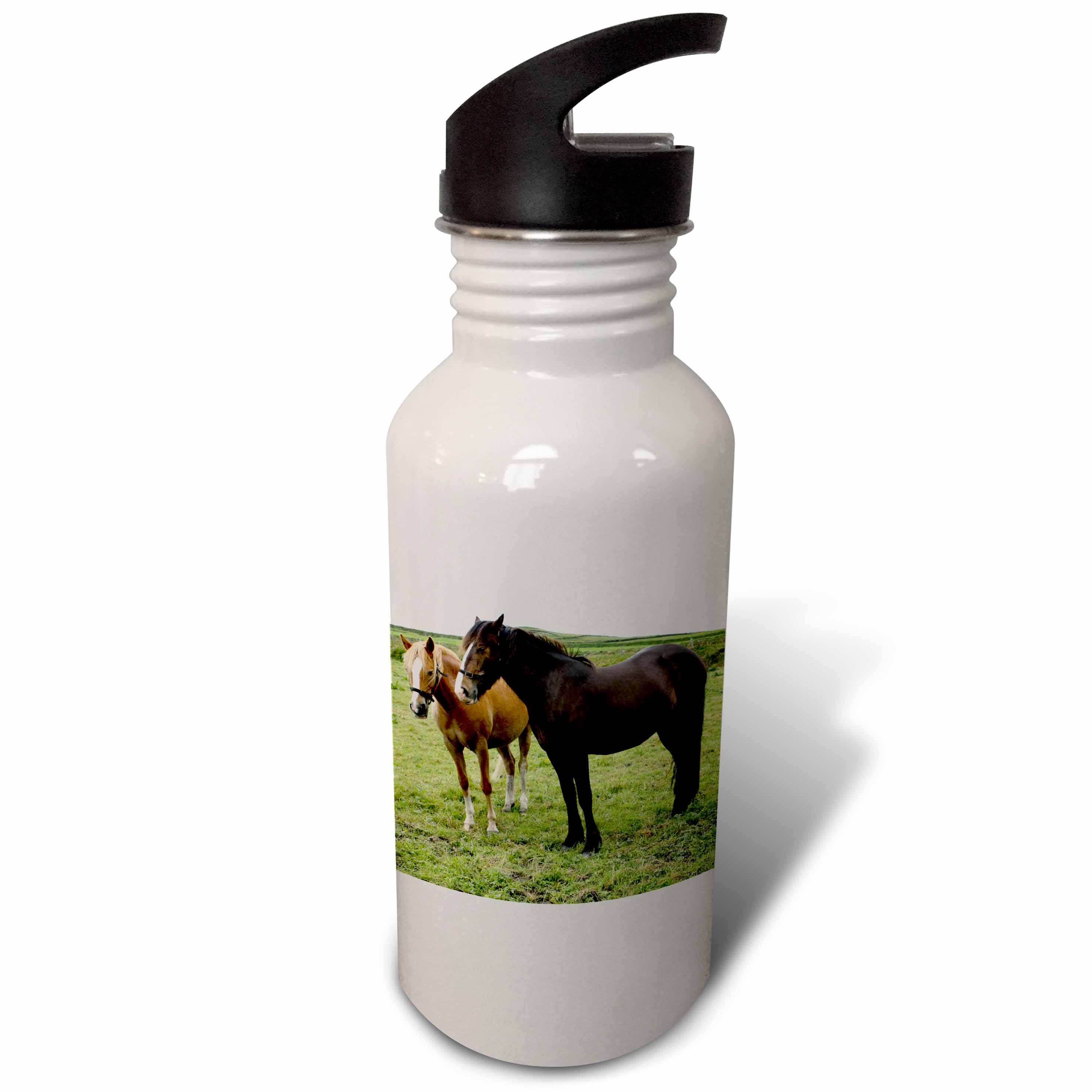 Beautiful Horses in a Field, Ring of Kerry, Ireland 21 oz Sports Water Bottle wb-100302-1