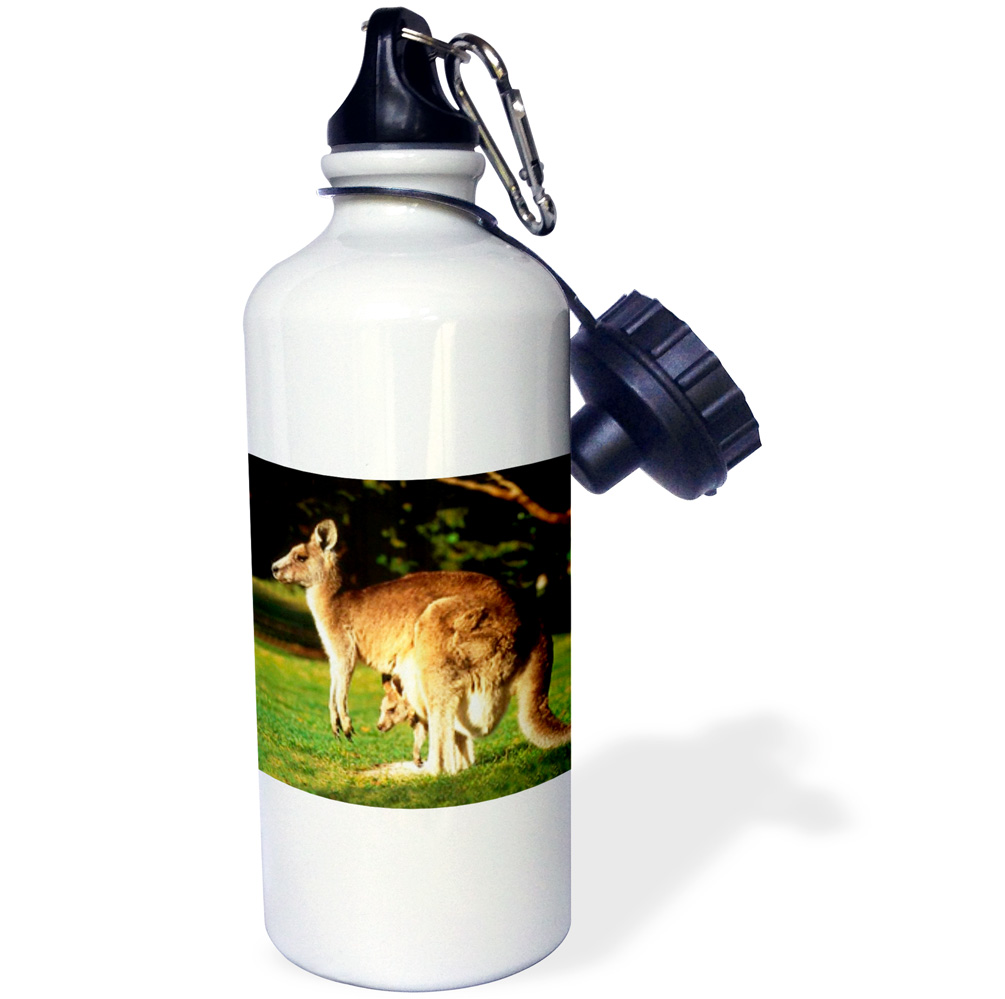 3dRose Kangaroo, Sports Water Bottle, 21oz