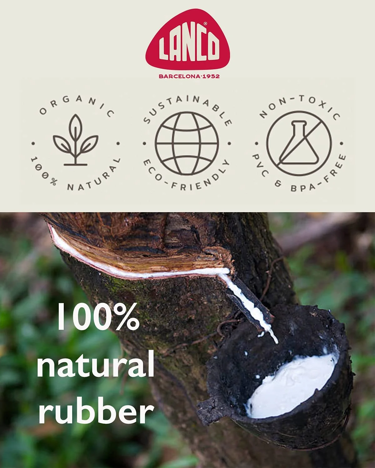 Set 6 Extra Small Squeaky Toys Small Puppy Tiny Dogs Natural Rubber (Latex)