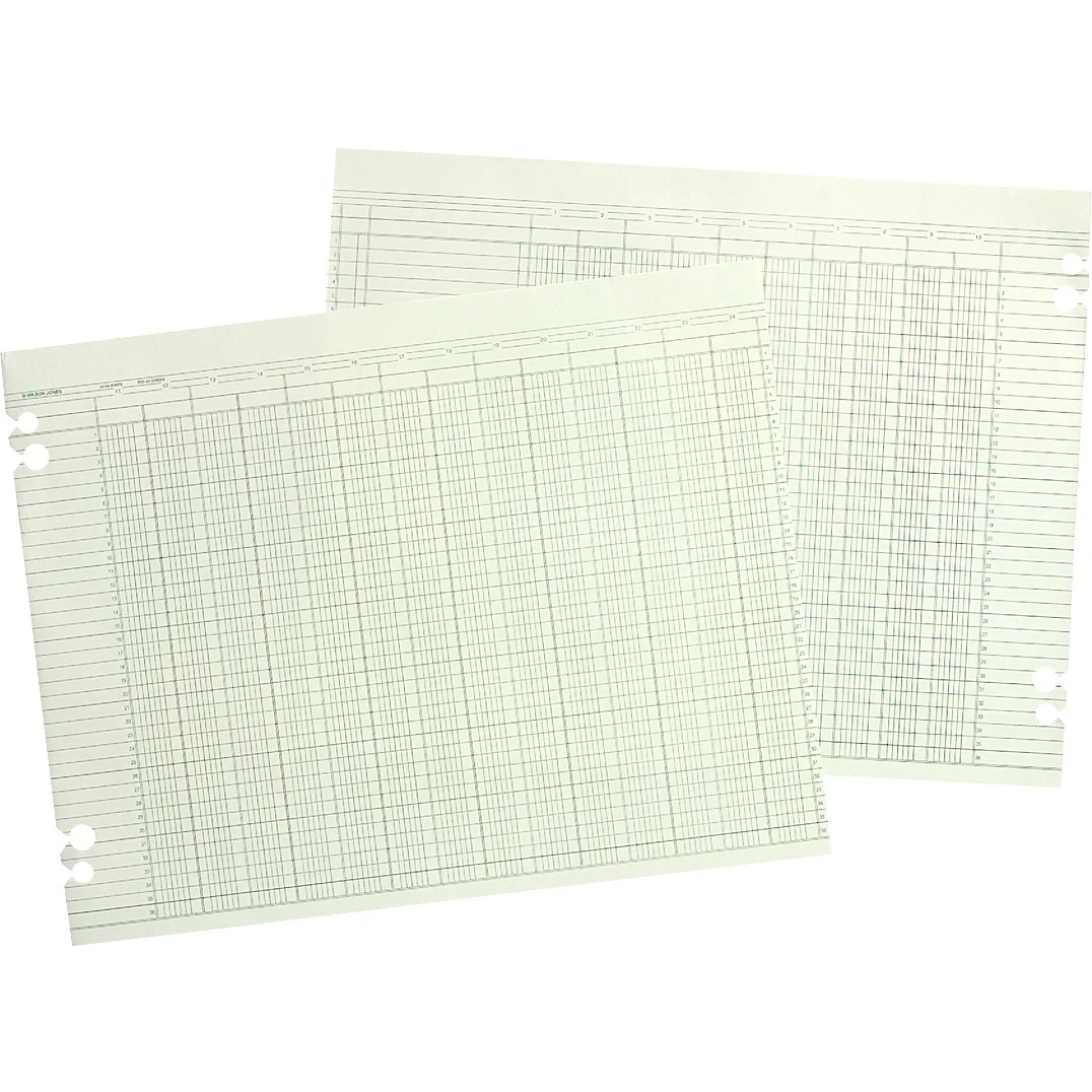 Accounting Sheets, 20 Columns, 9.25 X 11.88, Green, Loose Sheet, 100/pack | Bundle of 5 Packs