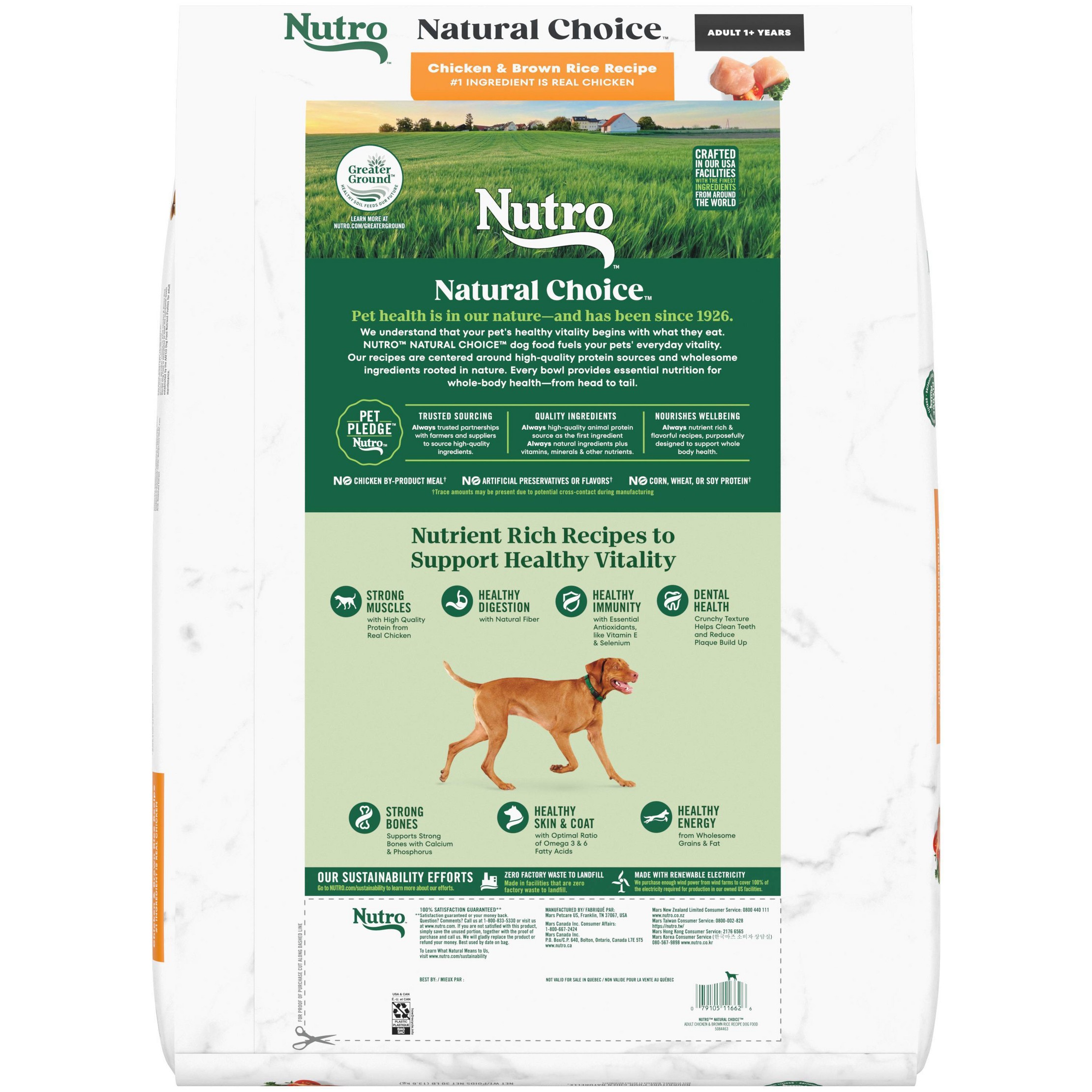 Natural Choice Chicken and Brown Rice Recipe Adult Dry Dog Food - 30lbs