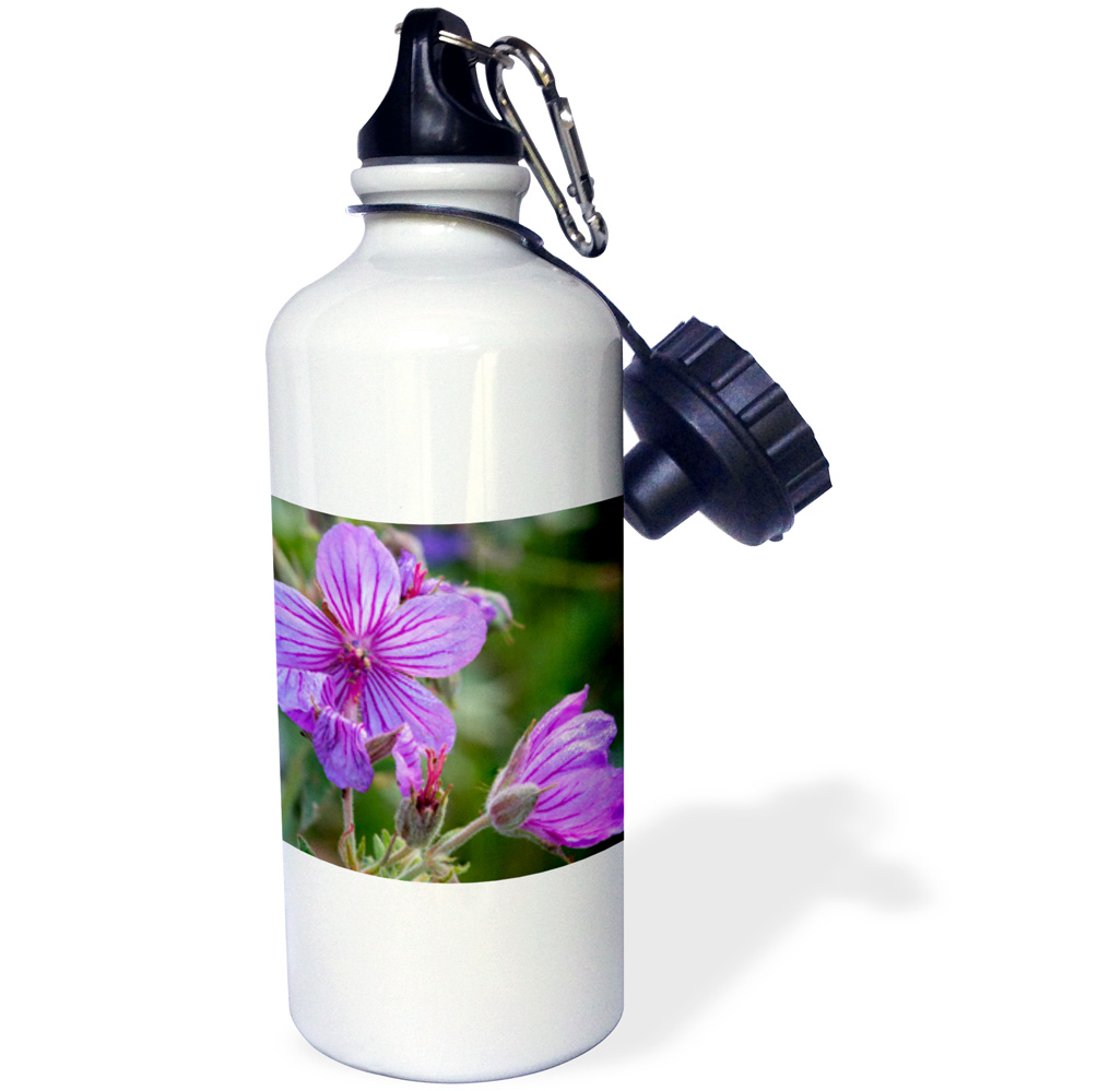 3dRose Sticky geranium wildflowers in Glacier National Park, Montana - Water Bottle, 21-ounce
