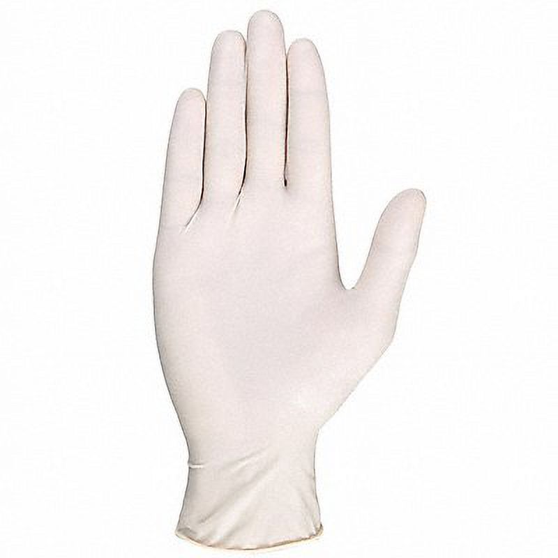 Condor Disposable Gloves,Rubber Latex,L,PK100  10D865