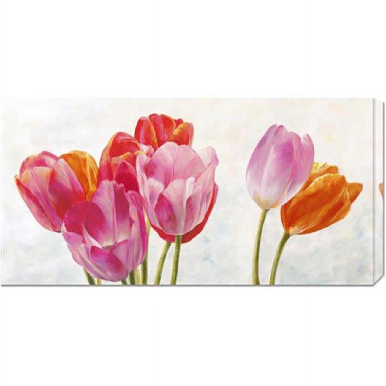 Bentley Global Arts dba American Walls GCS-375239-1836-142 Cynthia Ann 'Vive l'ete' Stretched Canvas