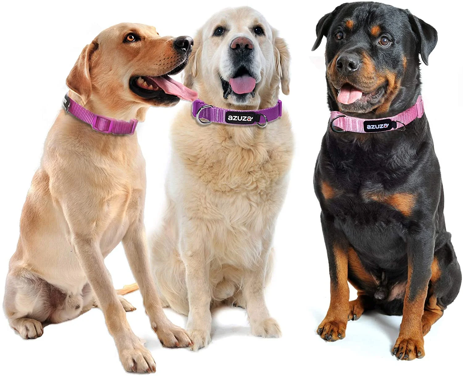 3 Pack Dog Collars Soft Comfortable Dog Collars for Small Medium and Large Dogs