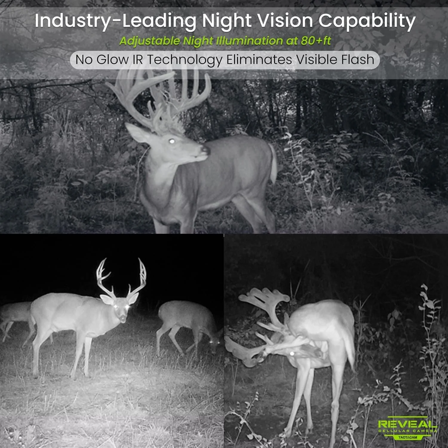 TACTACAM Reveal XB Cellular Trail Camera, No Glow - Verizon & AT&T 4 Pack