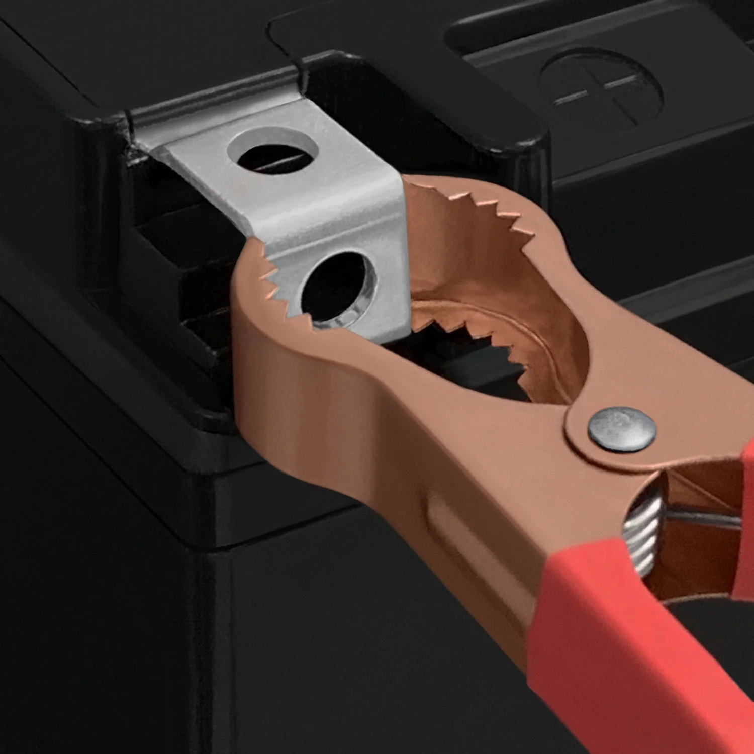 YTX14-BS Replaces Buell Blast Honda Shadow + 12V 2Amp Charger