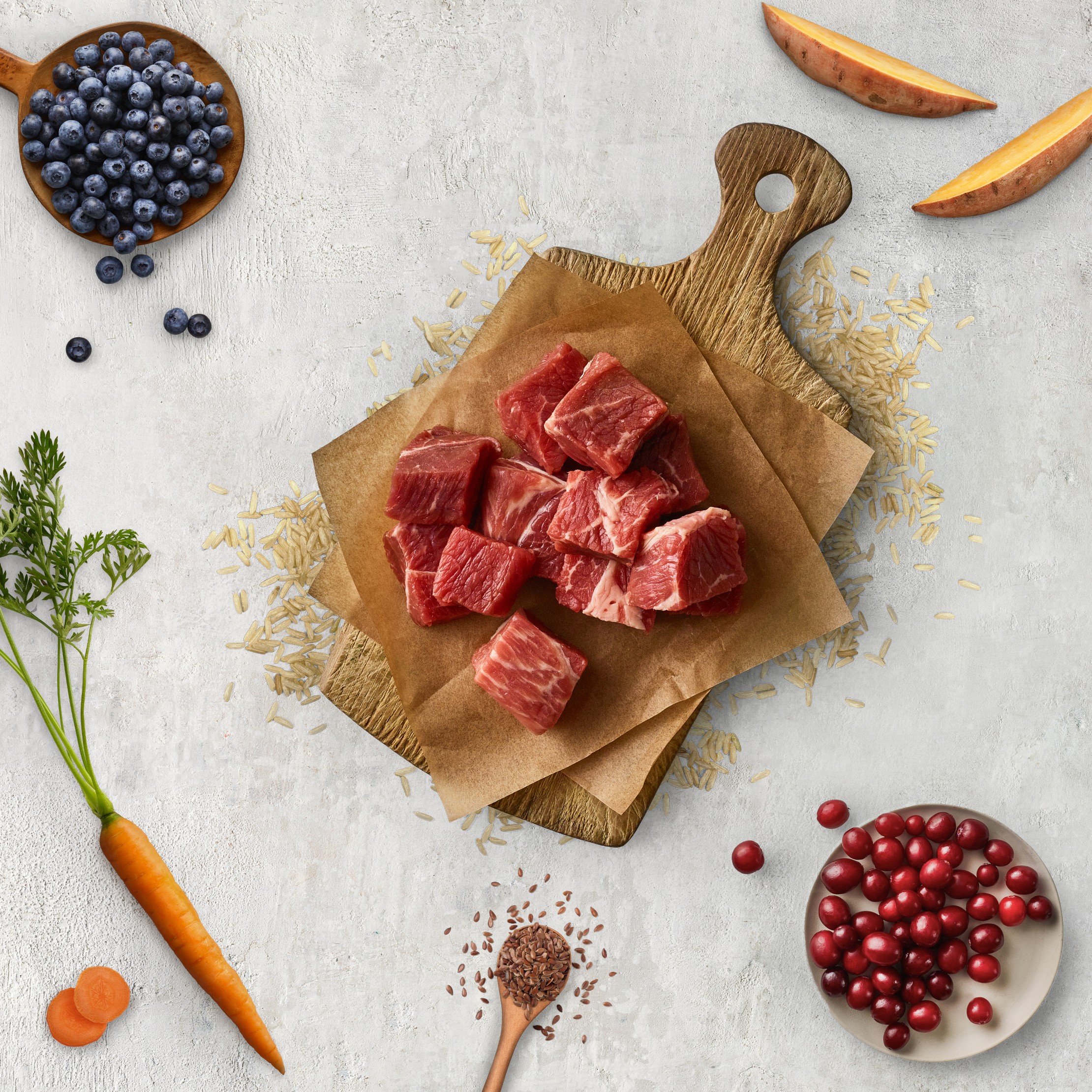 Adult Dry Dog Food with Beef Flavor - 24lbs