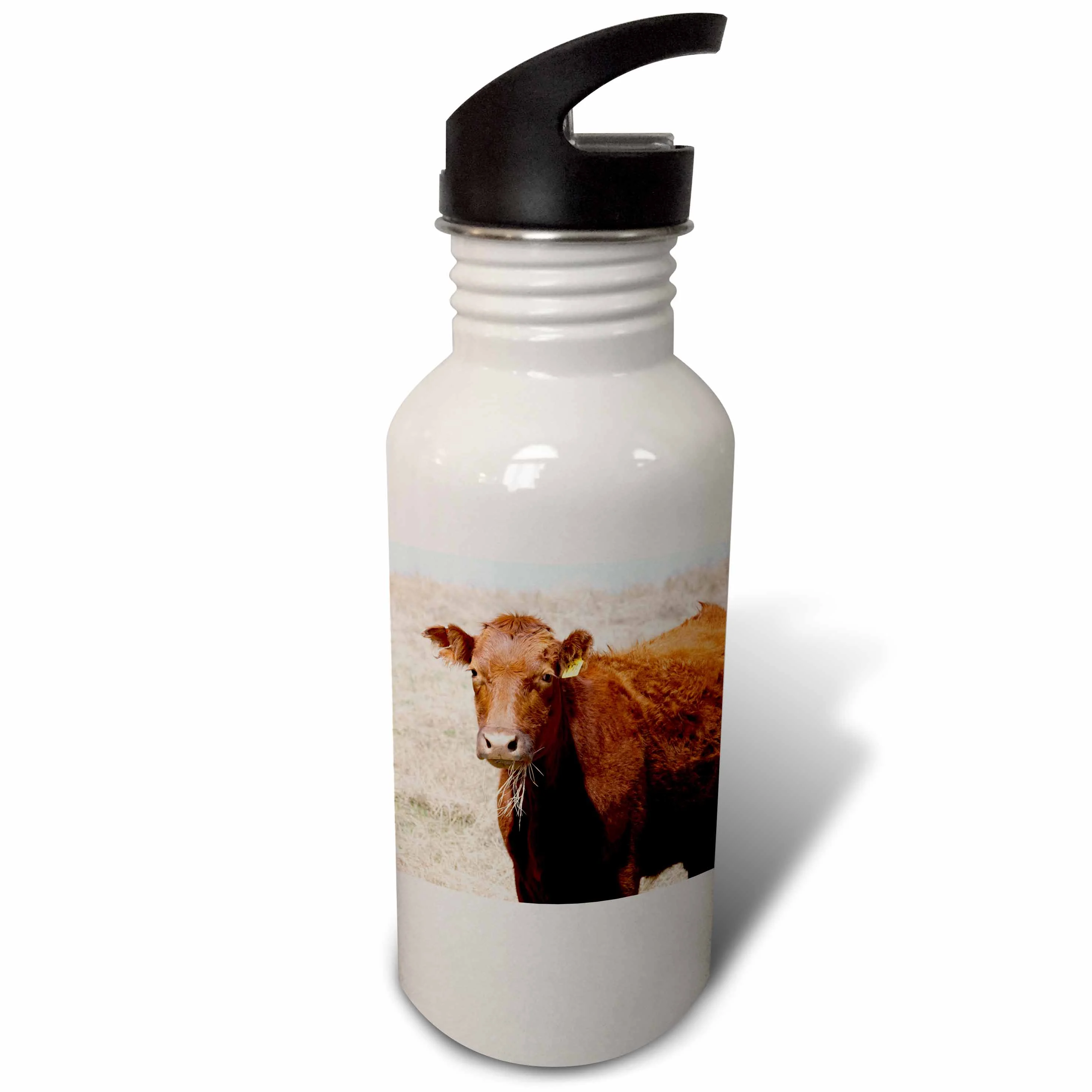 Red Angus cow with grass in mouth - NA02 PWO0000 - PiperAnne Worcester 21 oz Sports Water Bottle wb-140259-1