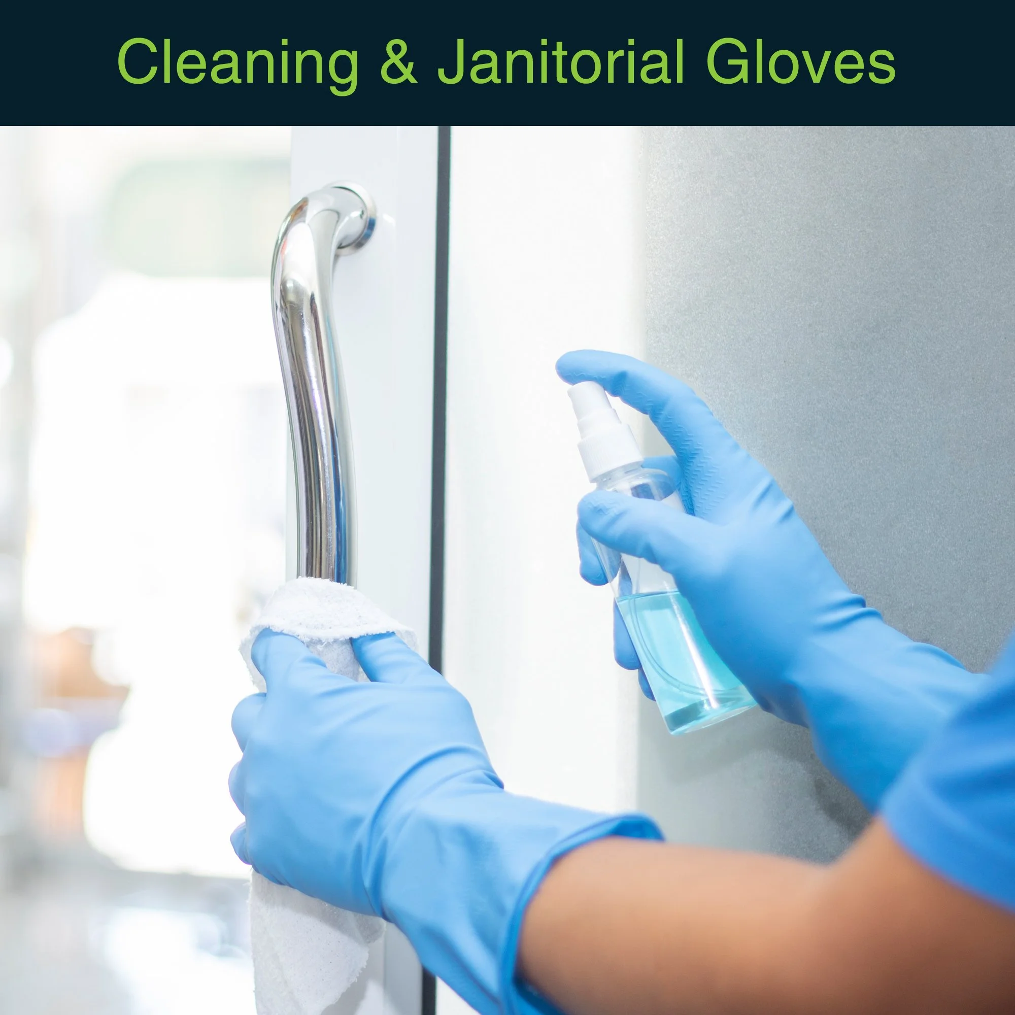 Fifth Pulse Vinyl Gloves, Multifunction Medical Grade Exam, Kitchen Gloves, All-Purpose Industrial Disposable Gloves Latex Free, Powder Free - Blue - 10 Boxes of 100 Gloves- 1000 Total (Large)