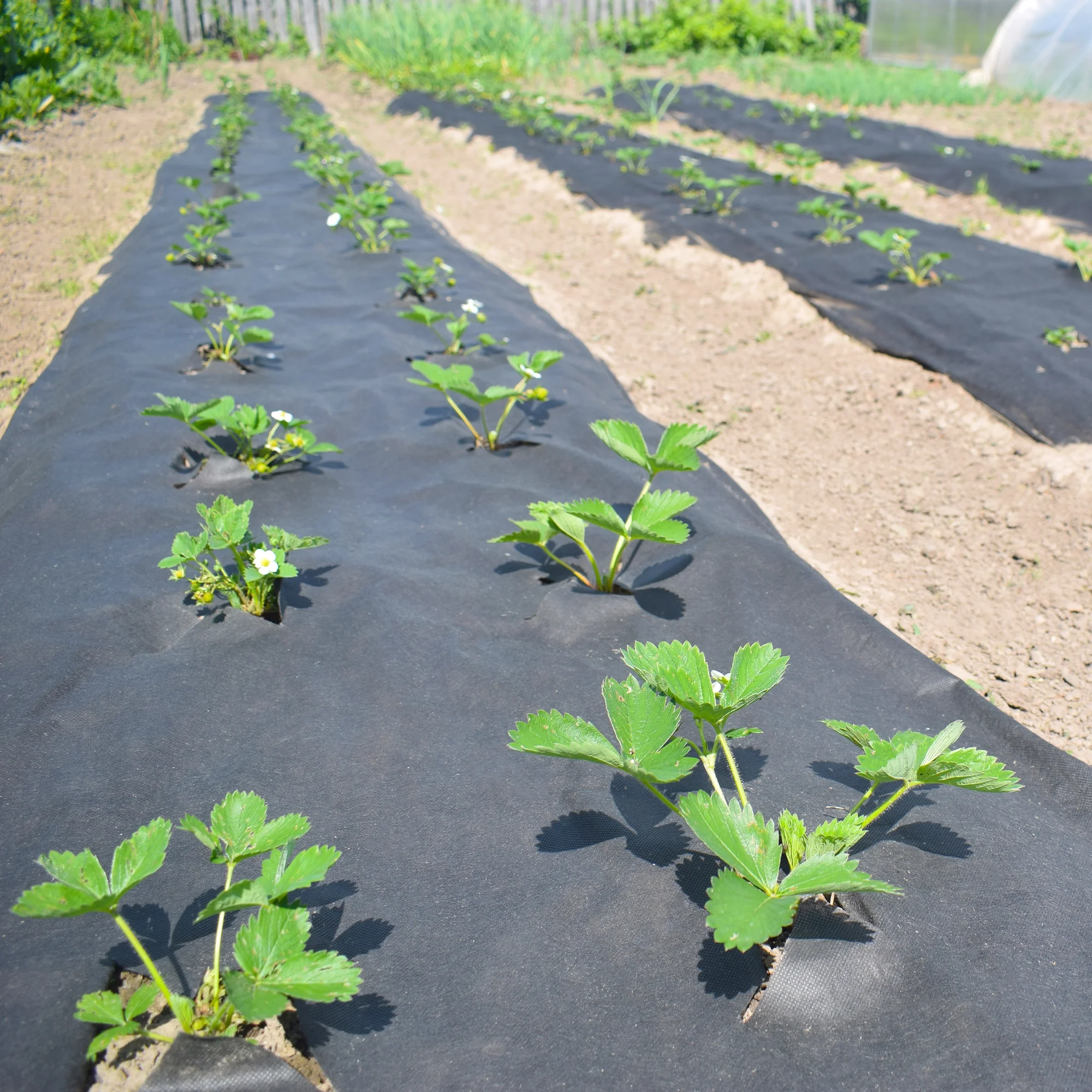 UNDERGUARD Nonwoven Geotextile Underlayment - 5 ft. x 100 ft. - UG05X100