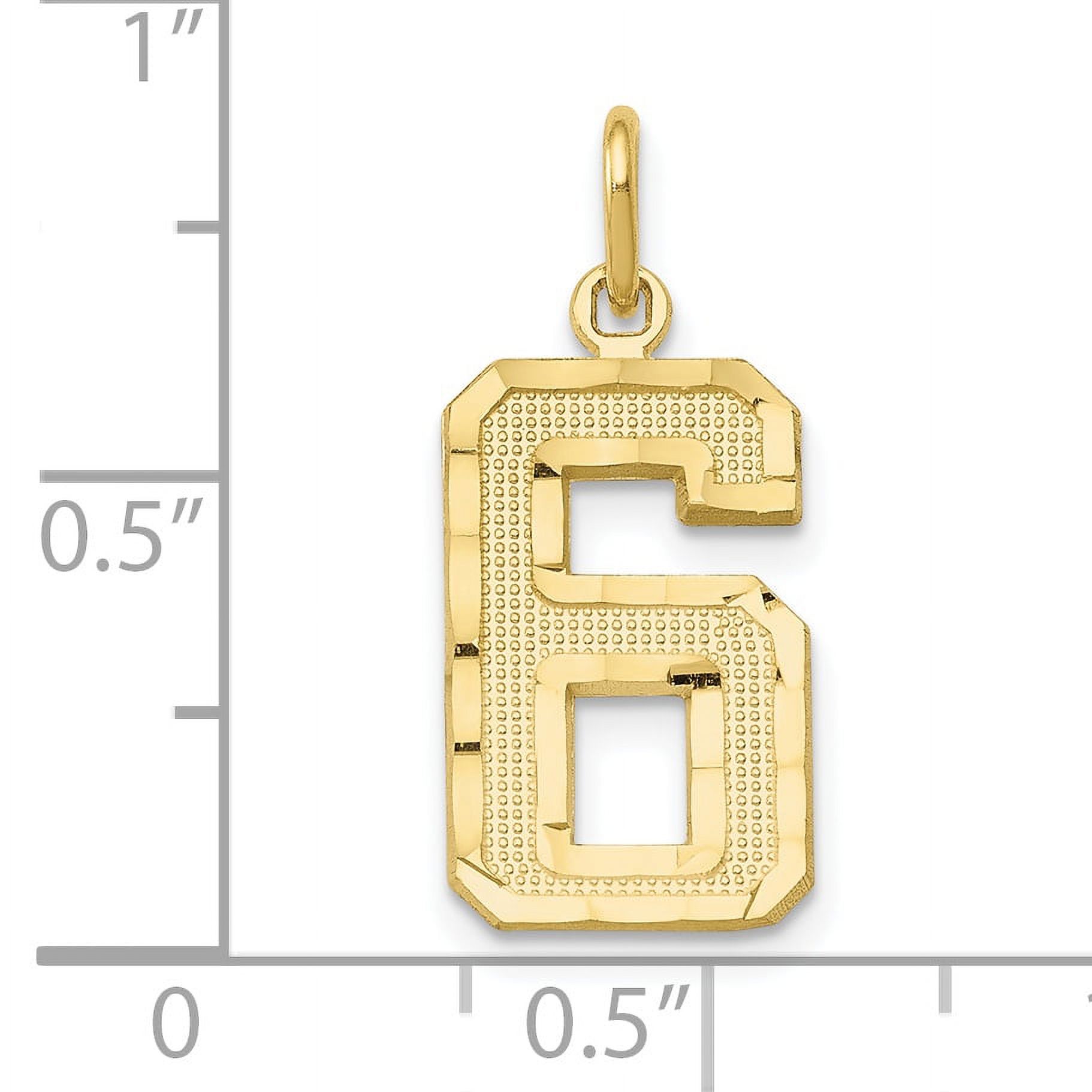 Saris and Things 10K Yellow Gold Casted Medium Diamond Cut Number 6 Charm